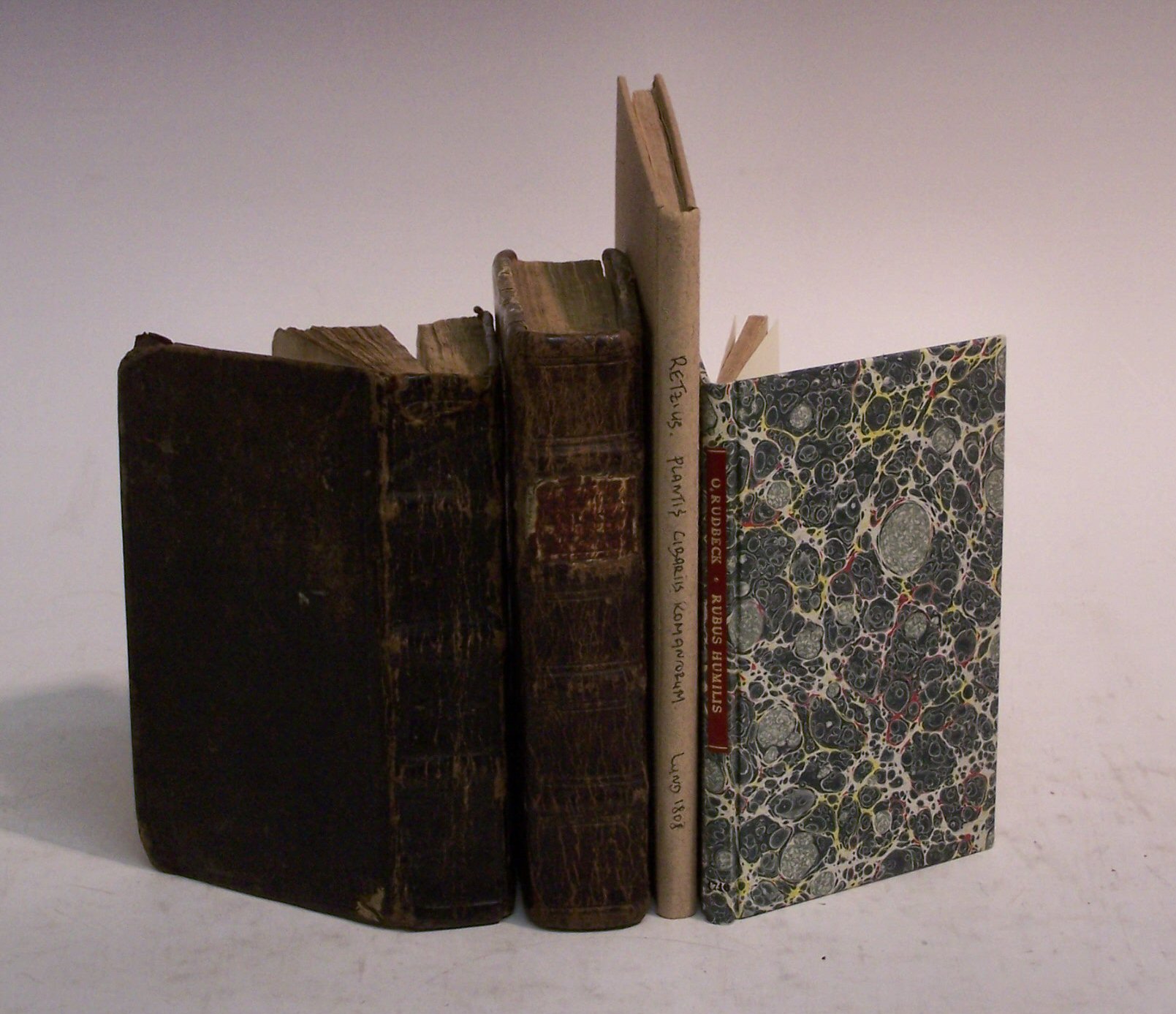 Botany - Palmberg, Johann