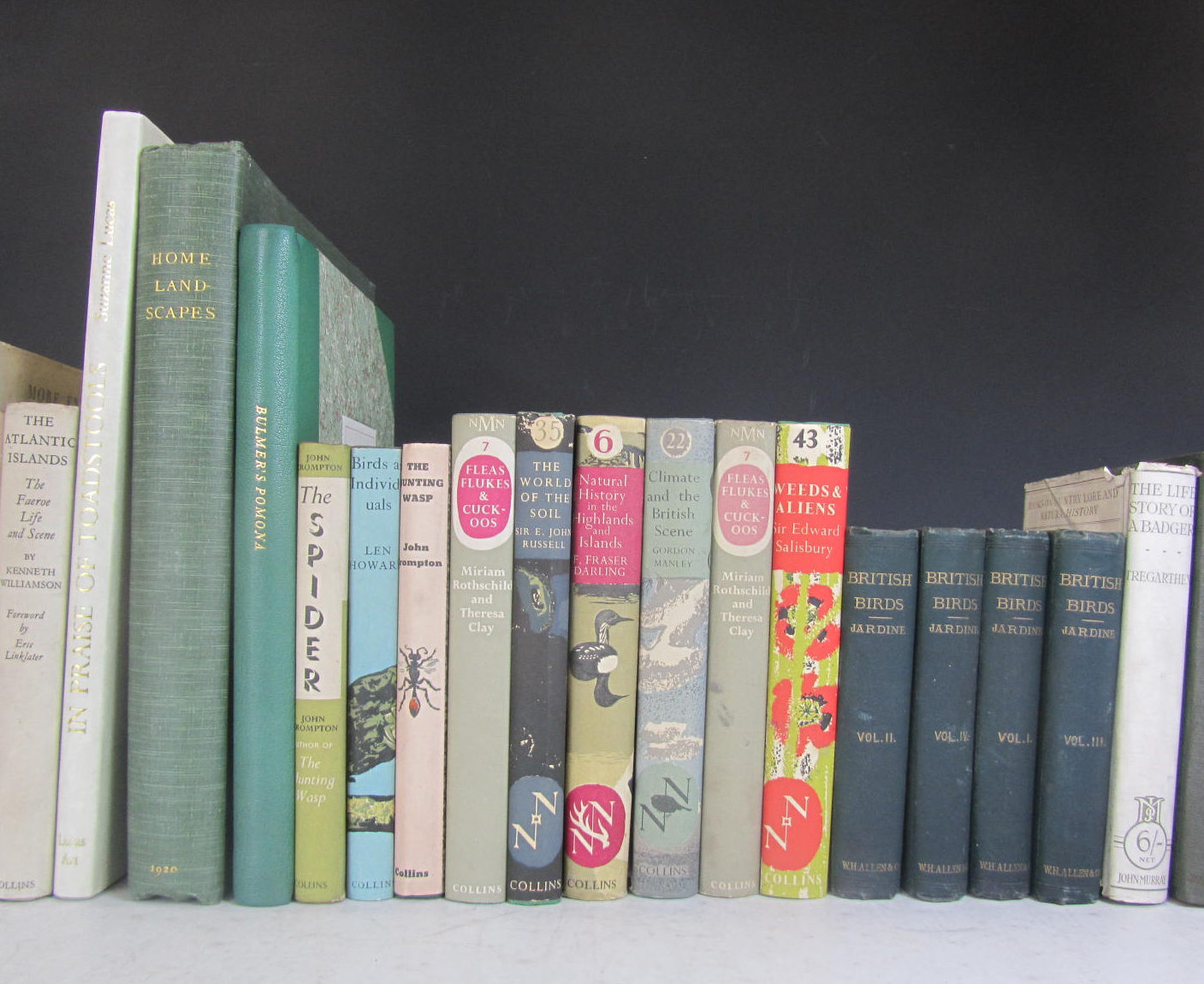 Natural history - Bulmer, H.P. & R. Williams.