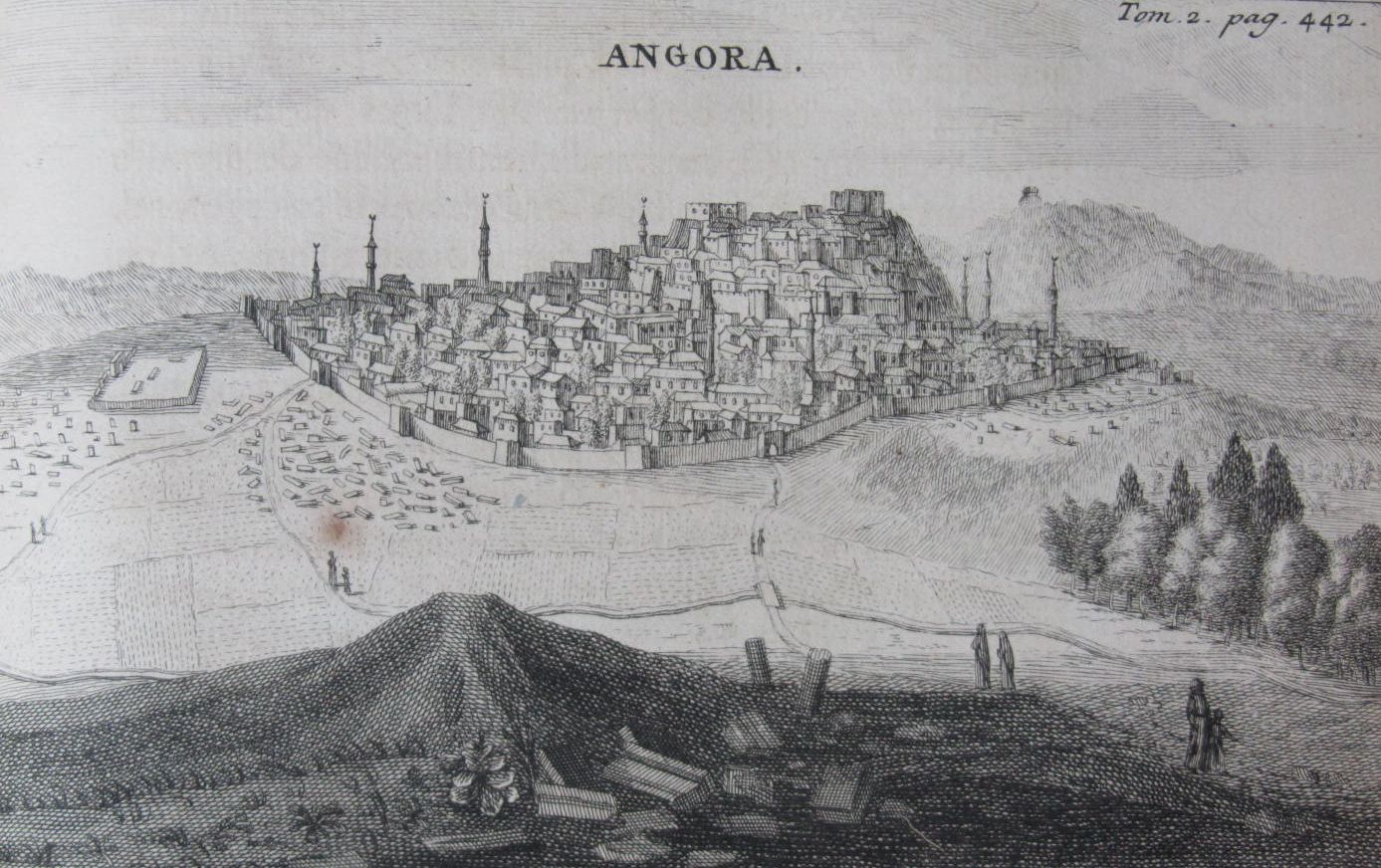 Tournefort, Pitton de