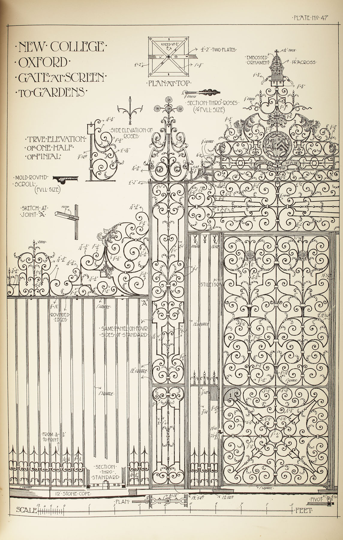 Murphy, Bailey Scott