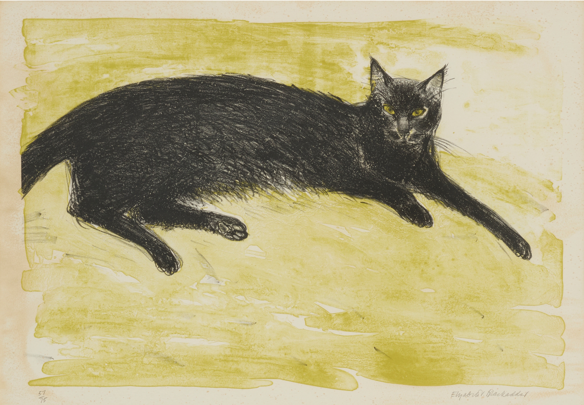DAME ELIZABETH BLACKADDER O.B.E., R.A., R.S.A., R.S.W., R.G.I., D.Litt (SCOTTISH 1931-2021)