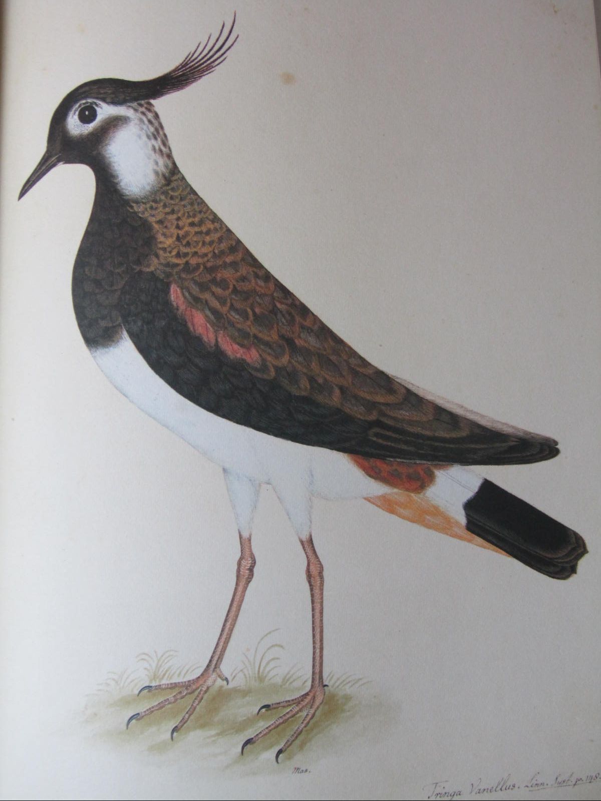 Elick, Don and Booth, Raymond