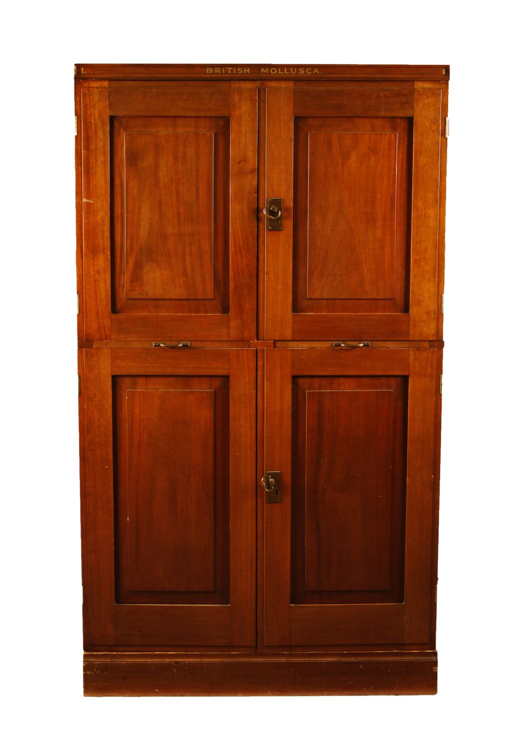 PAIR OF MAHOGANY SPECIMEN CABINETS FROM THE NATURAL HISTORY MUSEUM