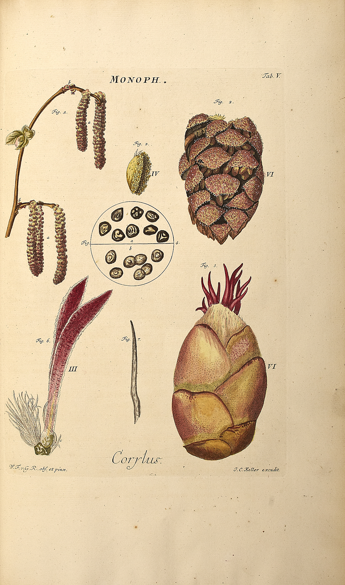 Gleichen, Wilhelm Frederick von