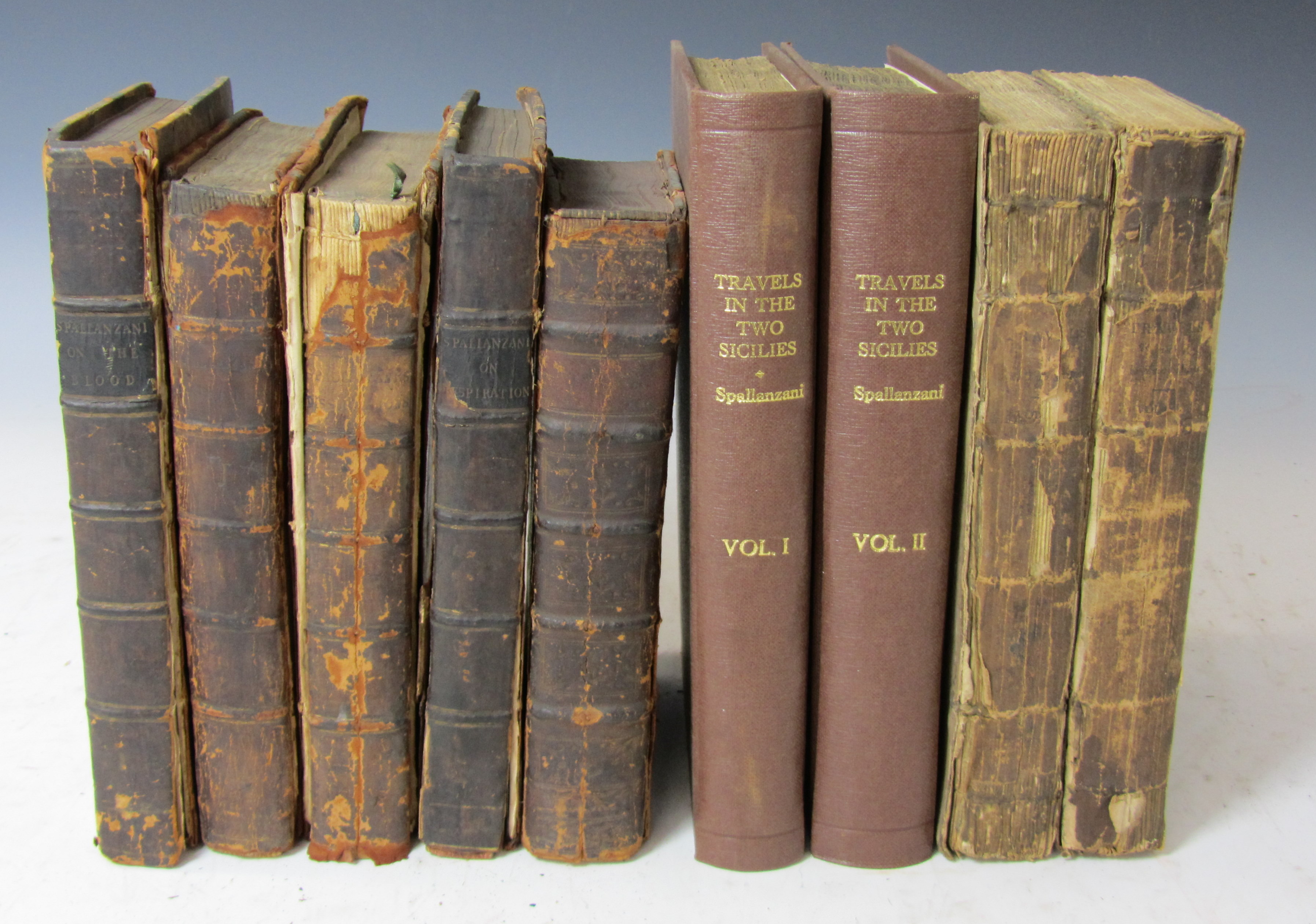 Spallanzani, Lazarro, Abbé