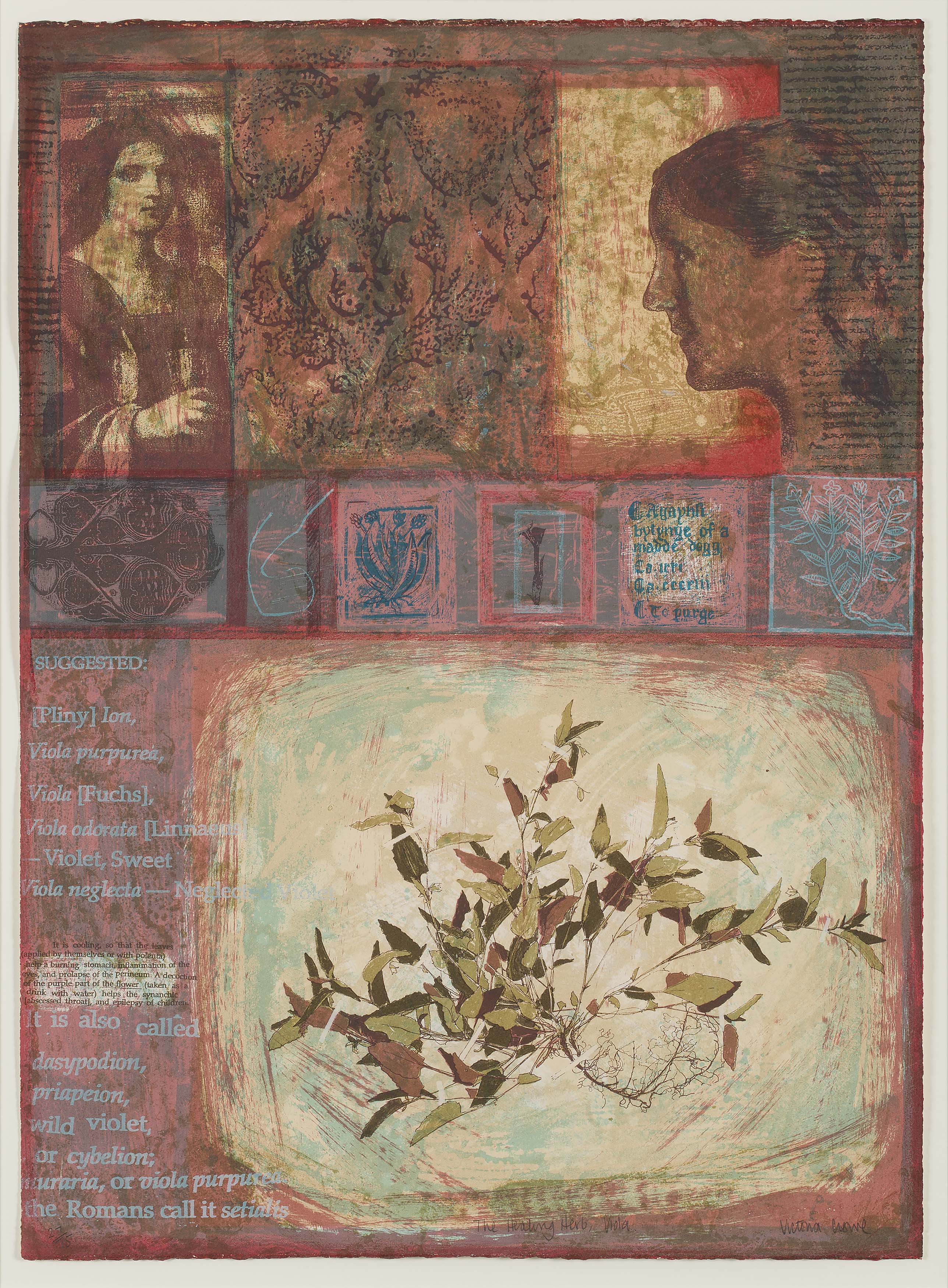 VICTORIA CROWE R.S.A., R.S.W. (SCOTTISH B.1945)