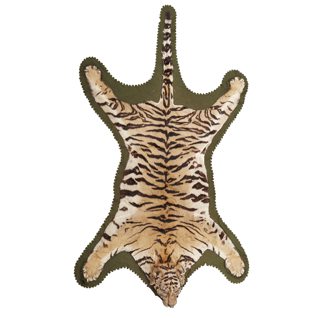 TAXIDERMY TIGER SKIN