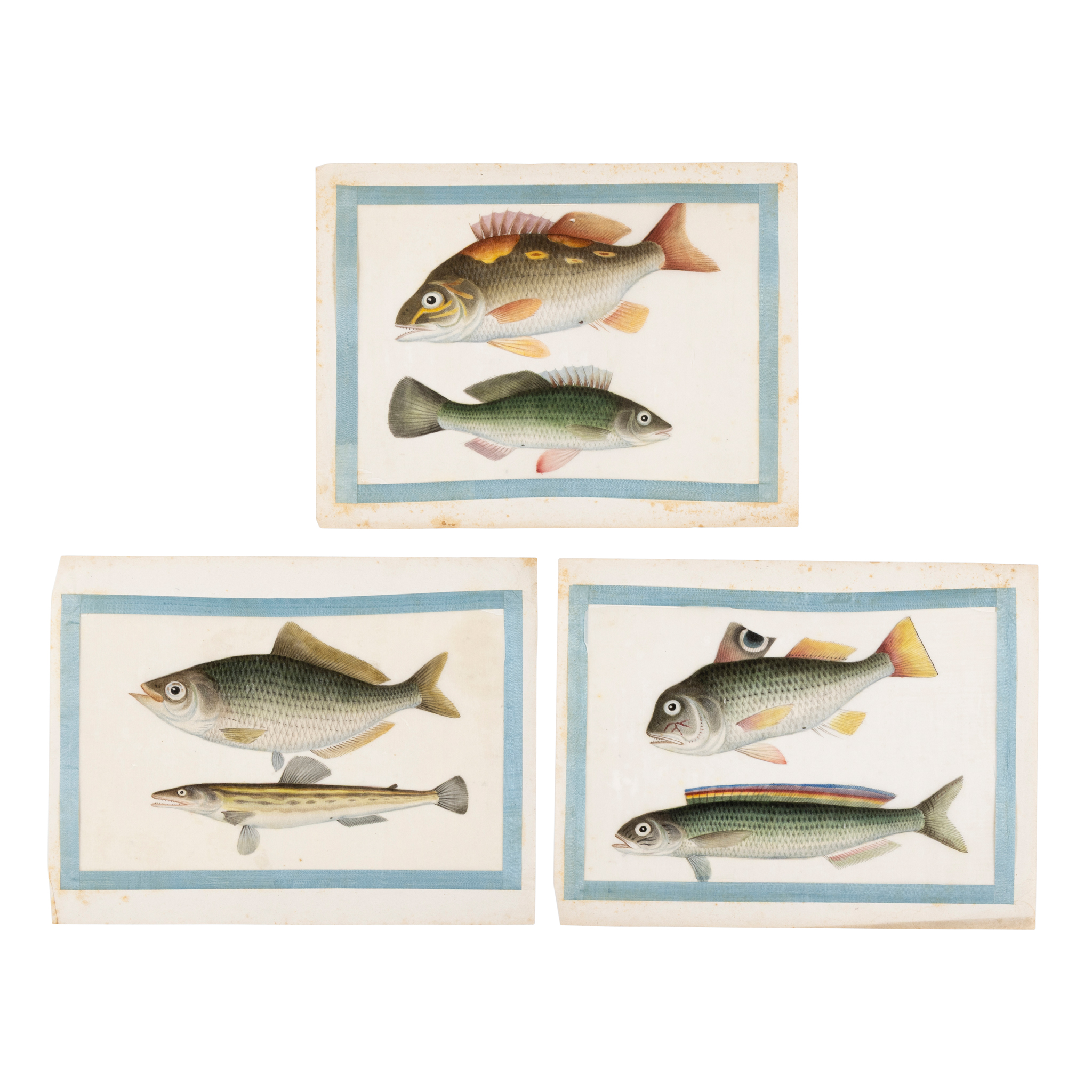 CHINESE ALBLUM OF NINETEEN LEAVES PITH PAINTINGS