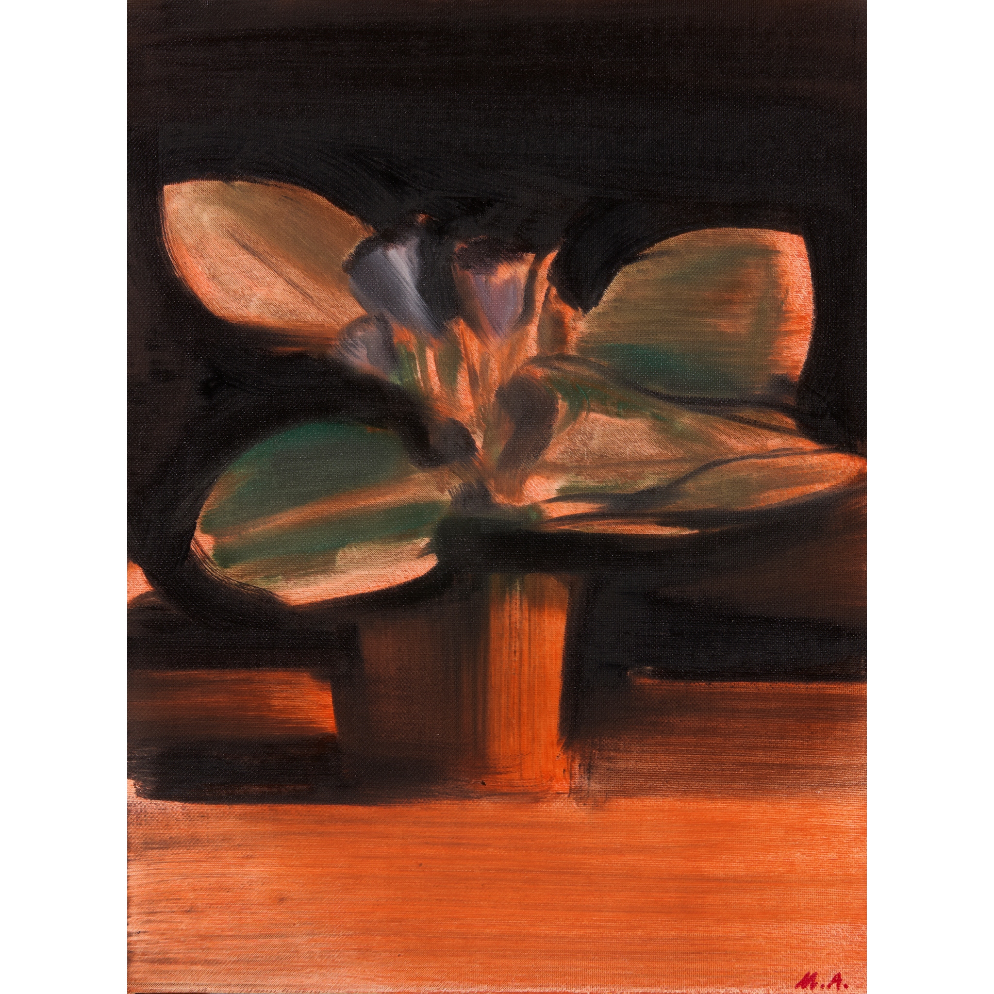 MEIR APPELFELD (BRITISH-ISRAELI 1965-)