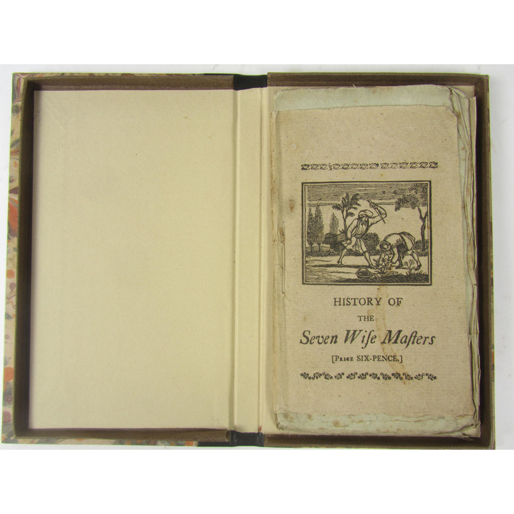 Juvenile. Sandabad (attrib.)