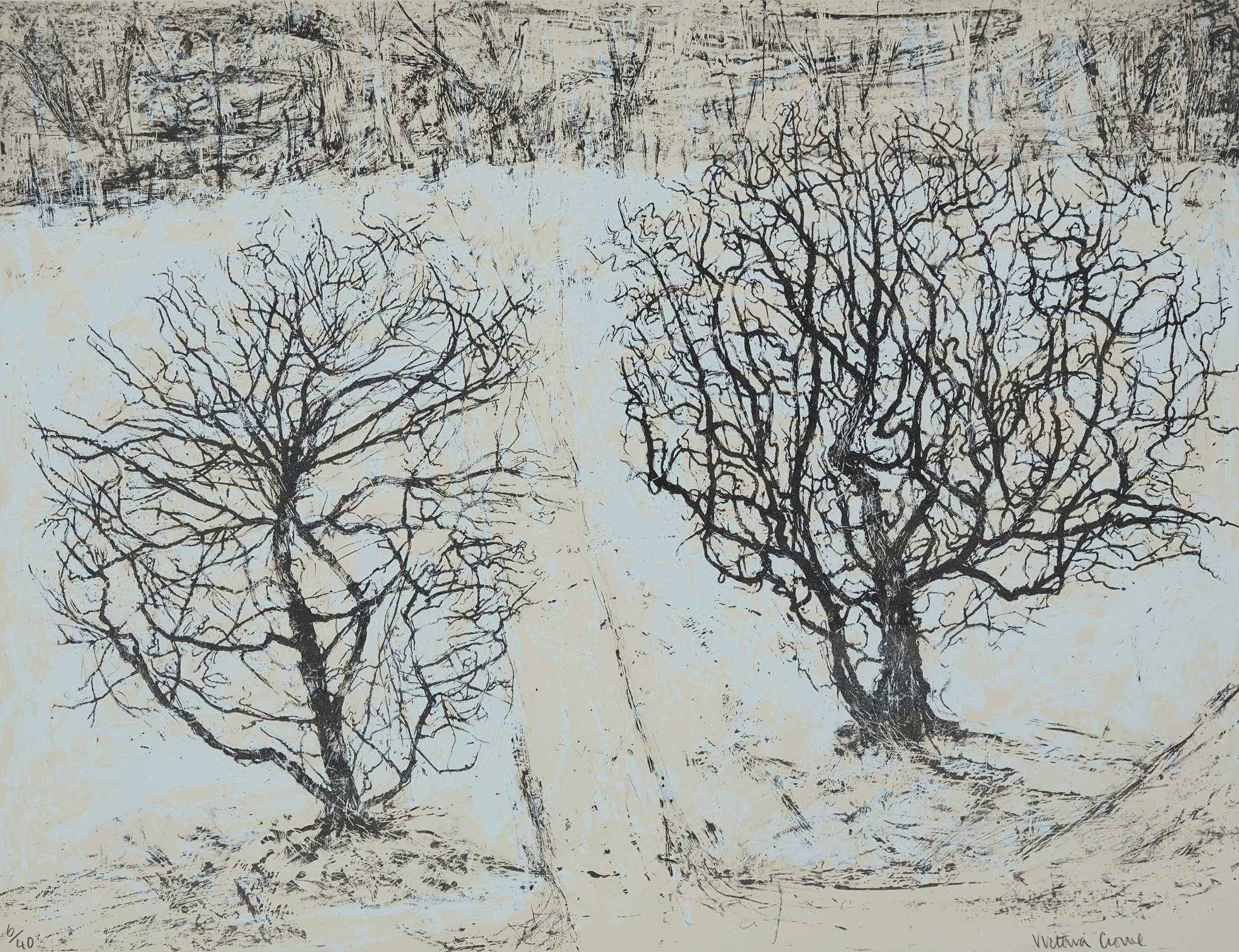 VICTORIA CROWE O.B.E., F.R.S.E., R.S.A. (SCOTTISH 1945-)