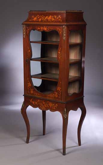 An Edwardian mahogany display cabinet