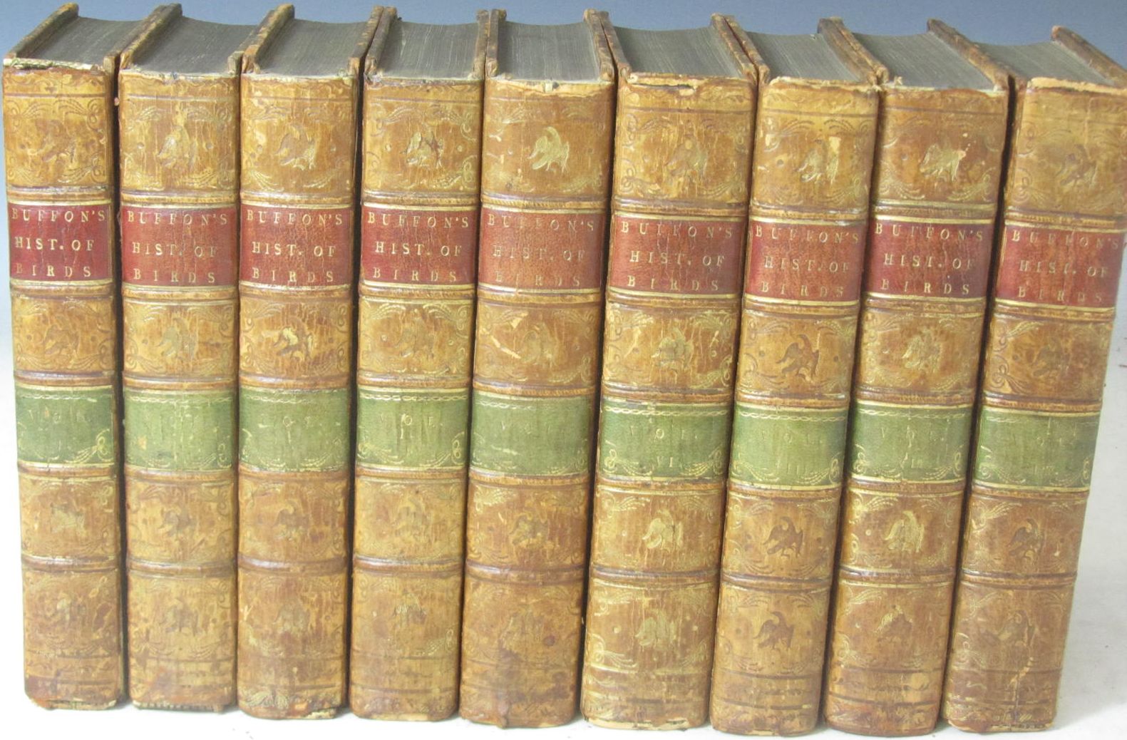 Buffon, G.L.M.L., comte de