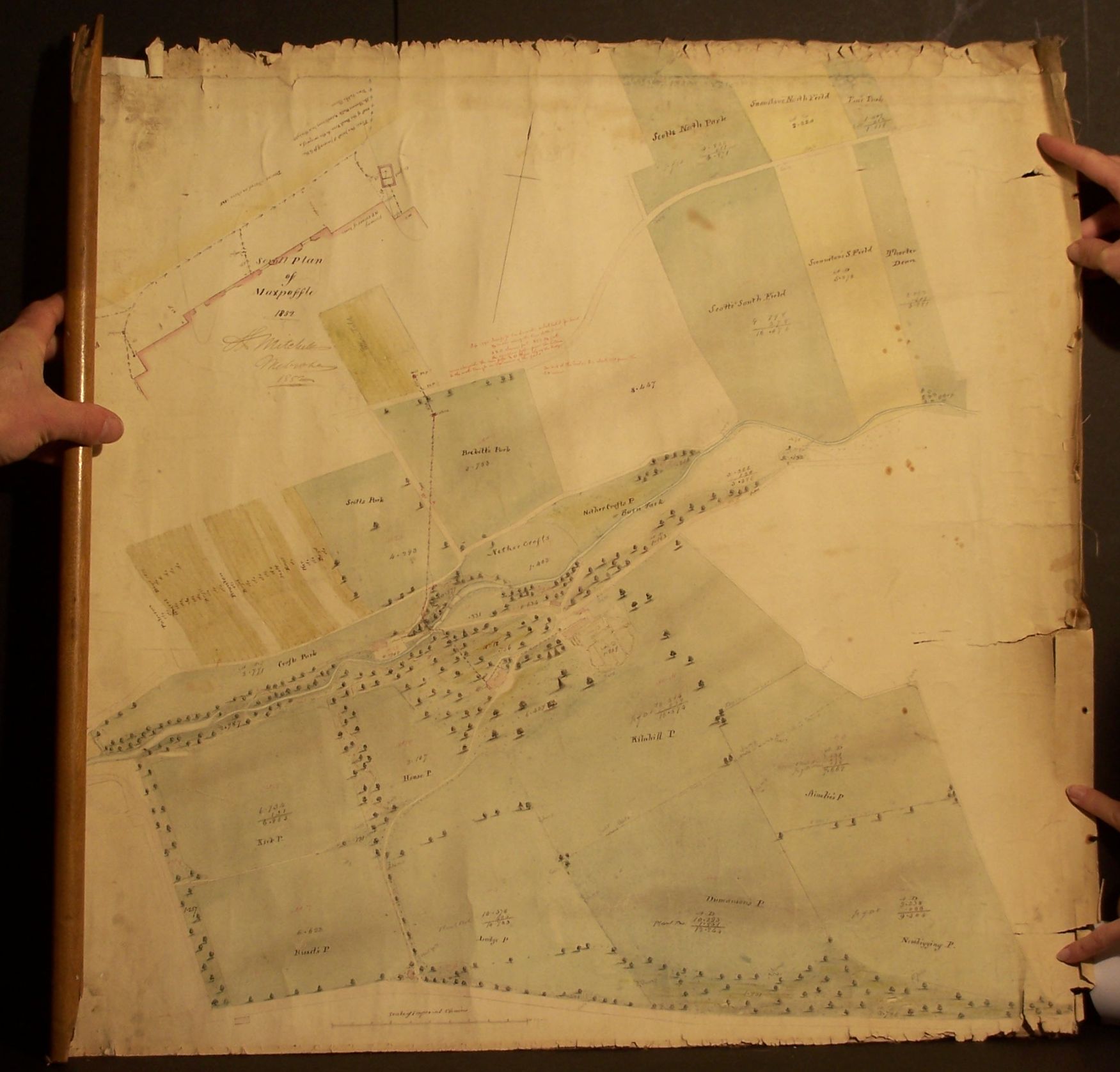 Estate plan--Maxpoffle, Roxburghshire
