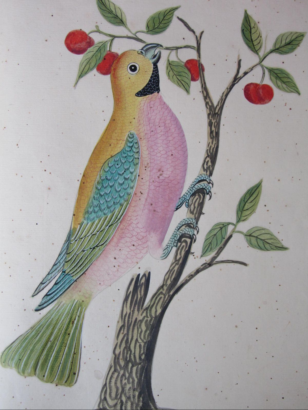 Edwards, George and Albin, Eleazar