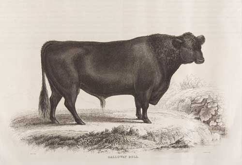 HIGHLAND SOCIETY OF SCOTLAND