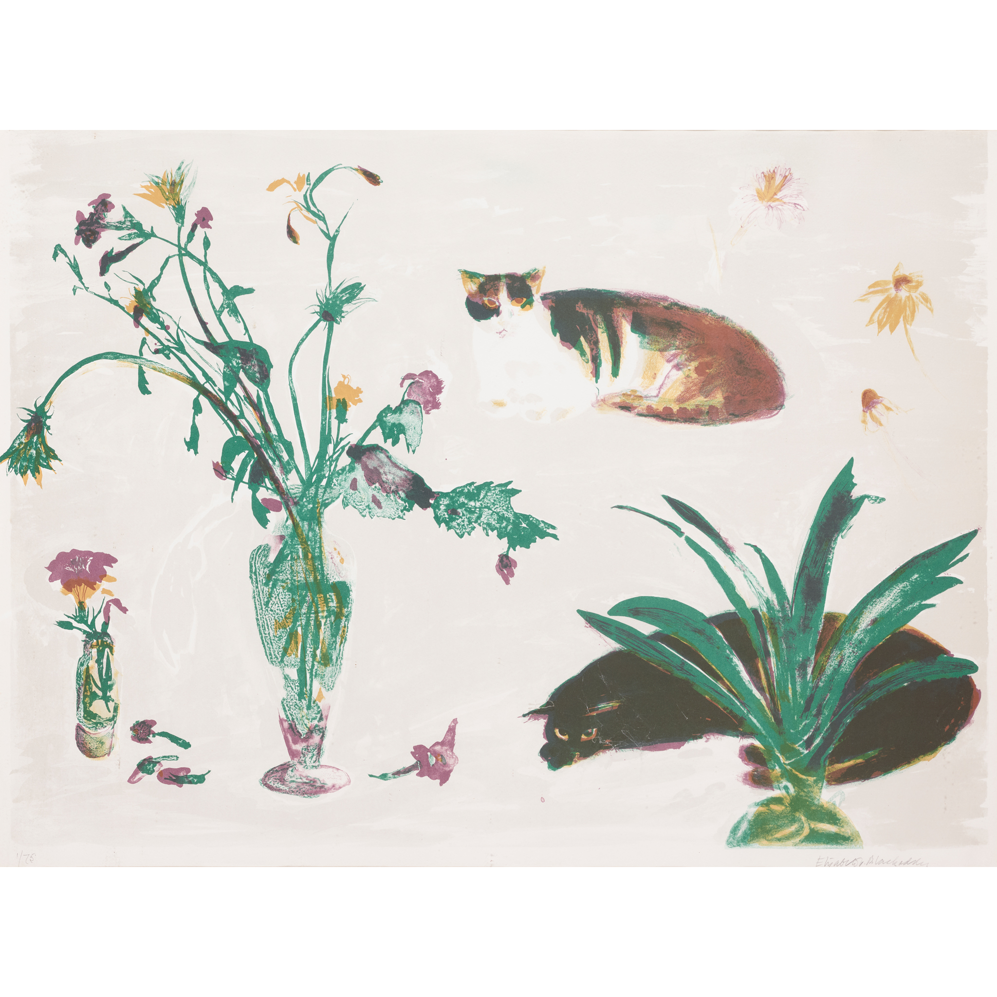 DAME ELIZABETH BLACKADDER O.B.E., R.A., R.S.A., R.S.W., R.G.I., D.Litt (SCOTTISH 1931-2021)