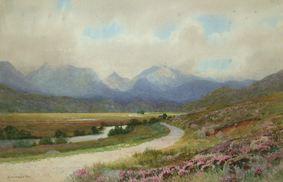 CAPTAIN GEORGE DRUMMOND FISH (19TH CENTURY)