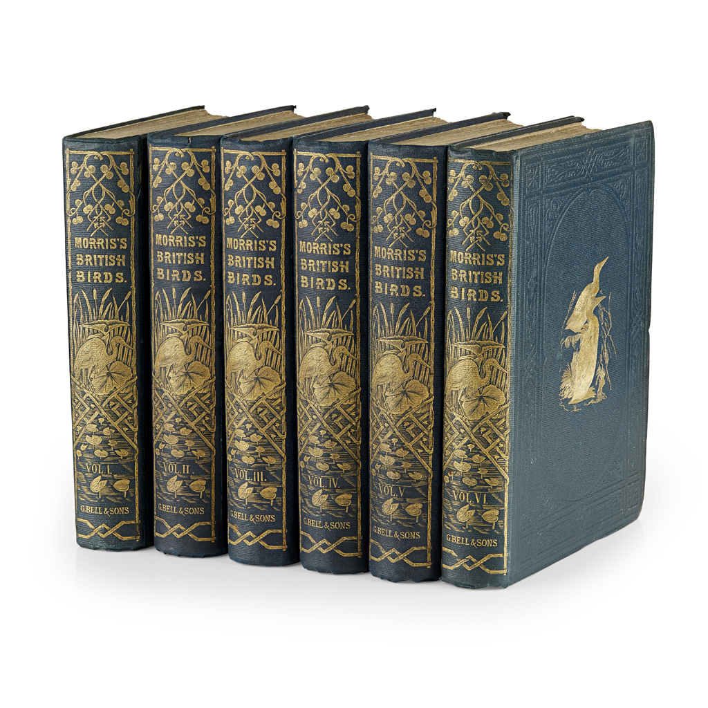 Morris, Francis Orpen