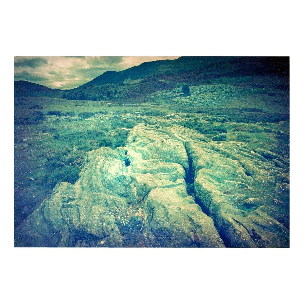 DALZIEL + SCULLION (SCOTTISH CONTEMPORARY)