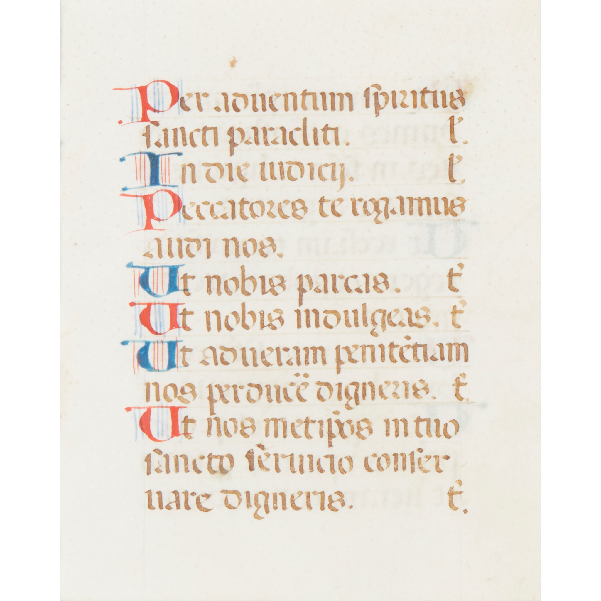 Illuminated manuscript leaves