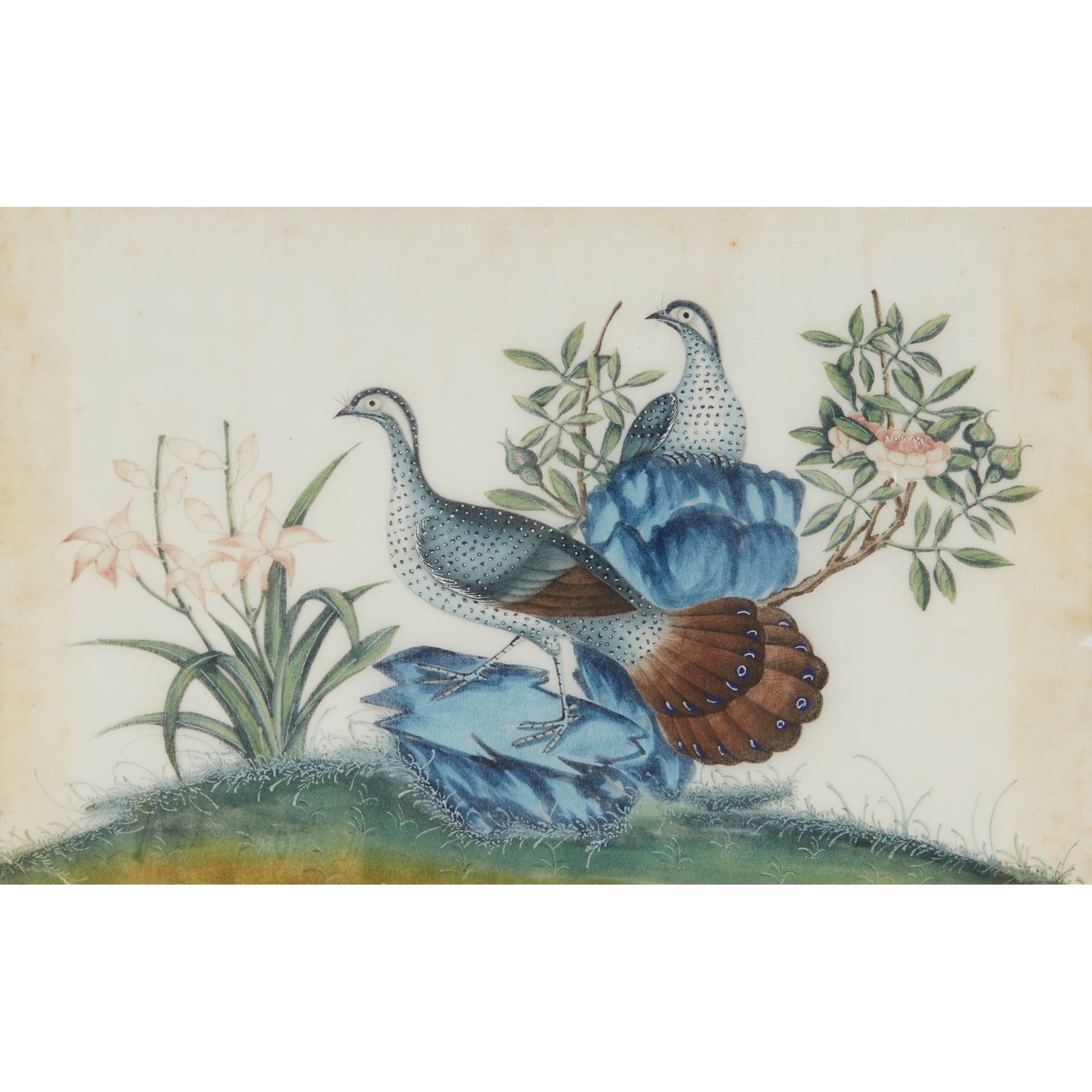 TWO PITH PAINTINGS OF EXOTIC BIRDS