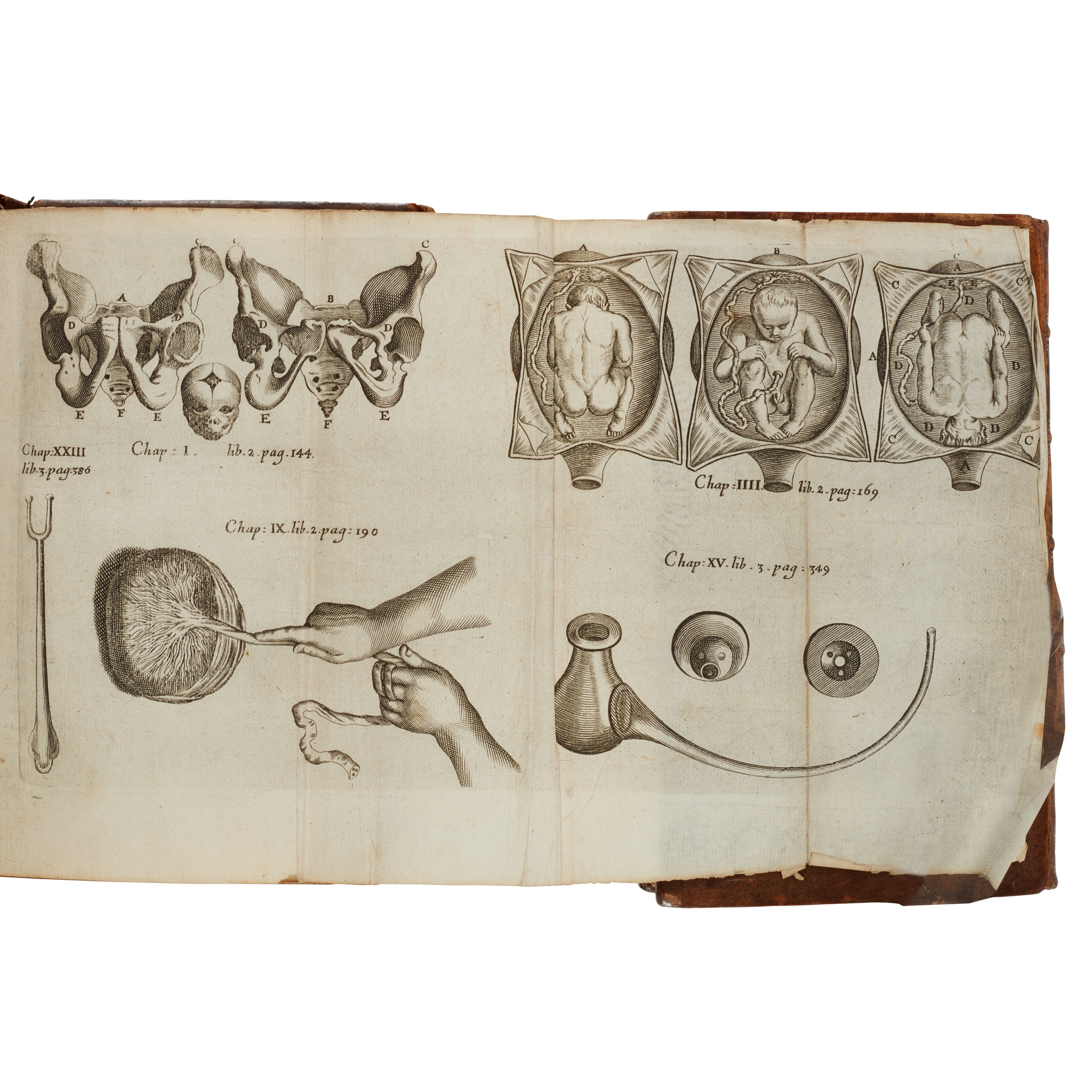 Obstetrics and gynaecology