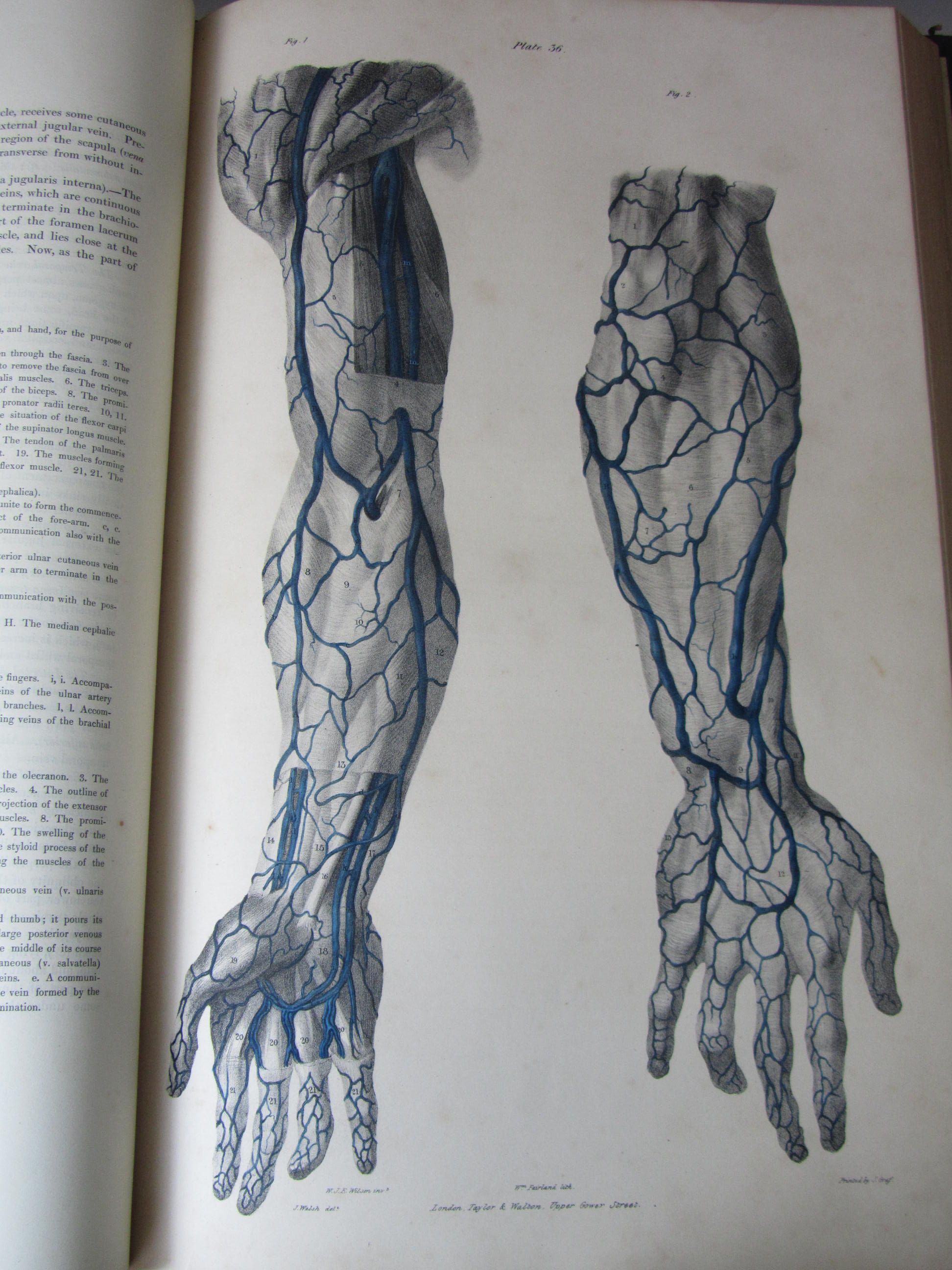 Quain, Jones, editor