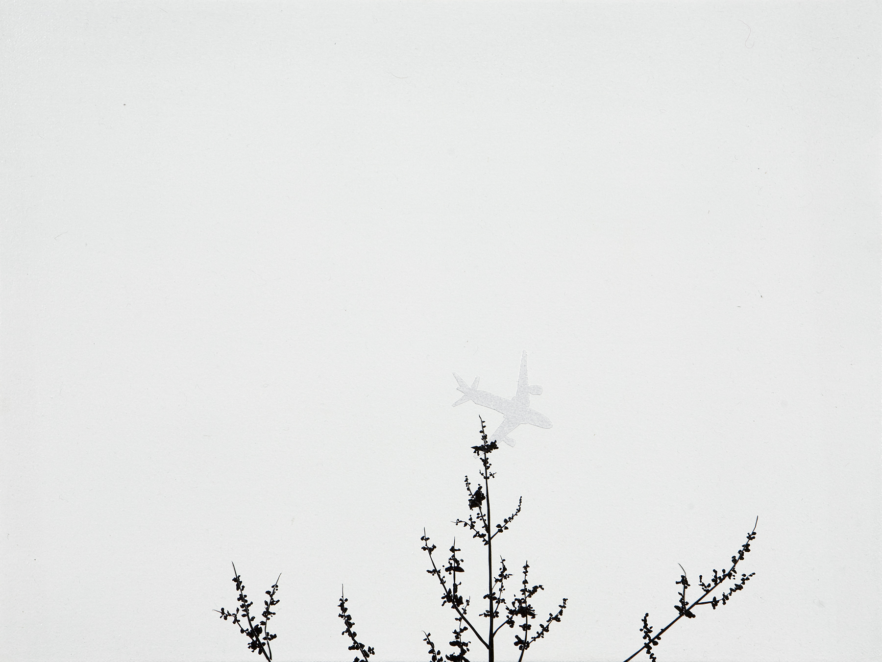 ERIK BENSON (AMERICAN, CONTEMPORARY)