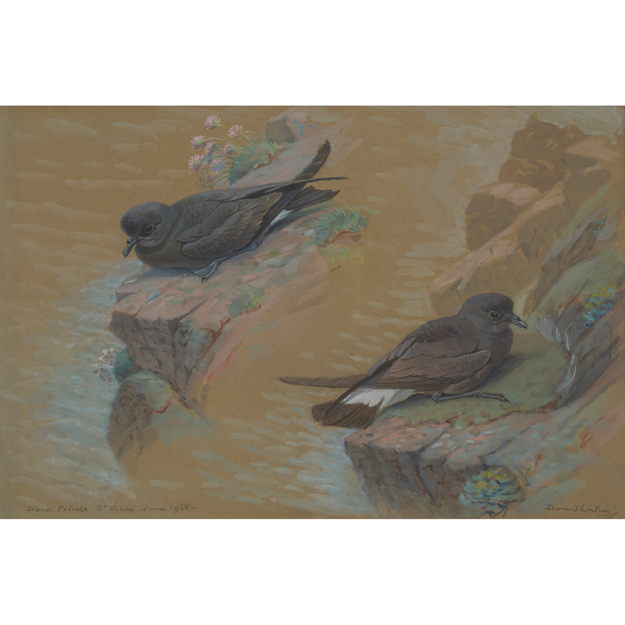 DONALD WATSON (SCOTTISH 1918-2005)