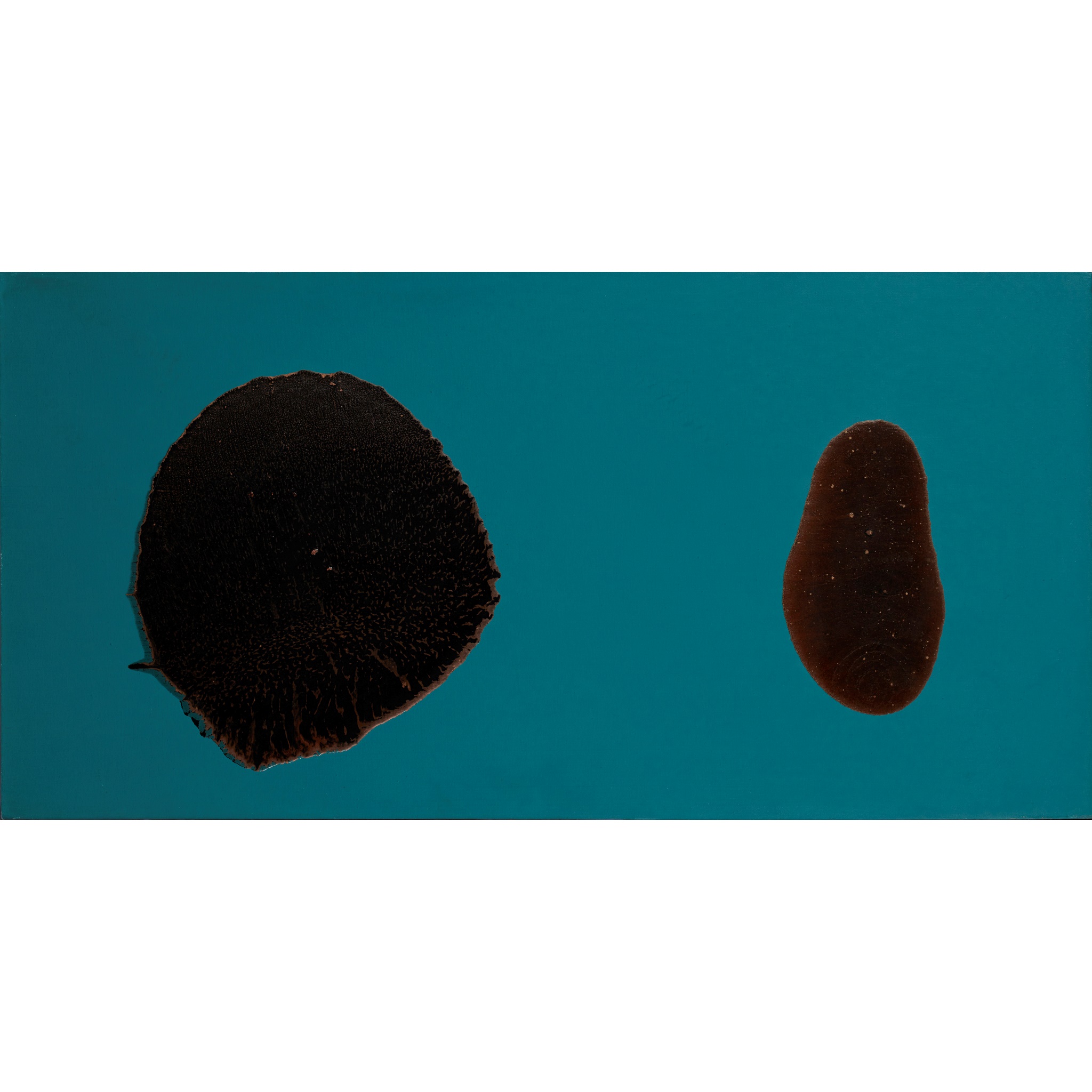 NICHOLAS MAY (BRITISH B. 1962)