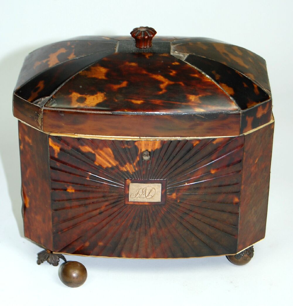REGENCY TORTOISE SHELL TEA CADDY