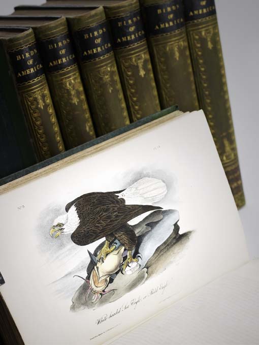 Audubon, John James