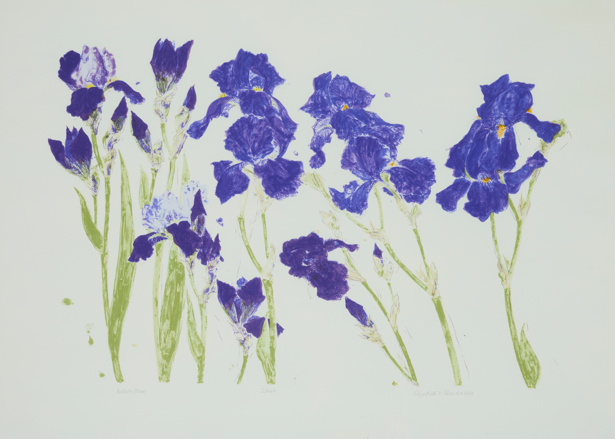 DAME ELIZABETH BLACKADDER O.B.E., R.A., R.S.A., R.S.W., R.G.I., D.Litt (SCOTTISH 1931-2021)
