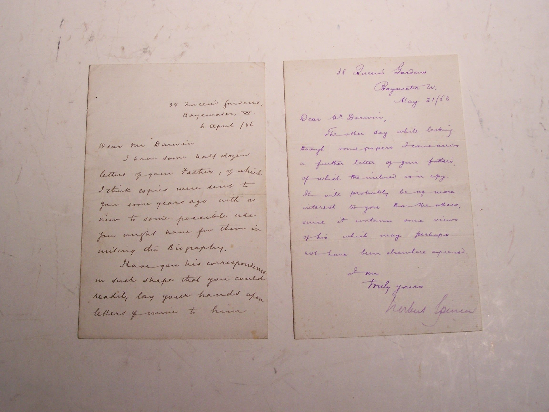 Darwin, Emma and Herbert Spencer