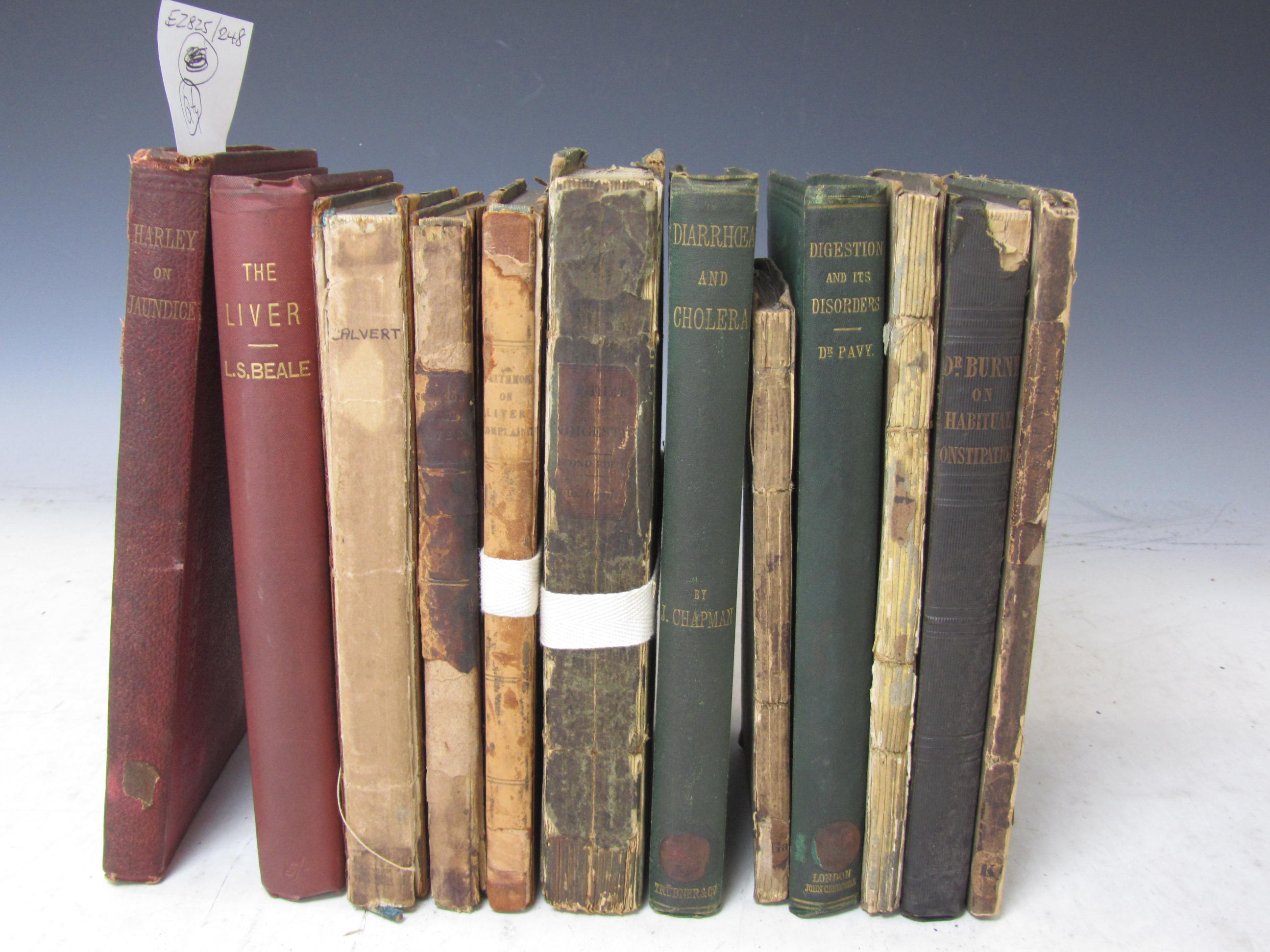 Indigestion, stomach disease, liver disease, piles, jaundice, &c.