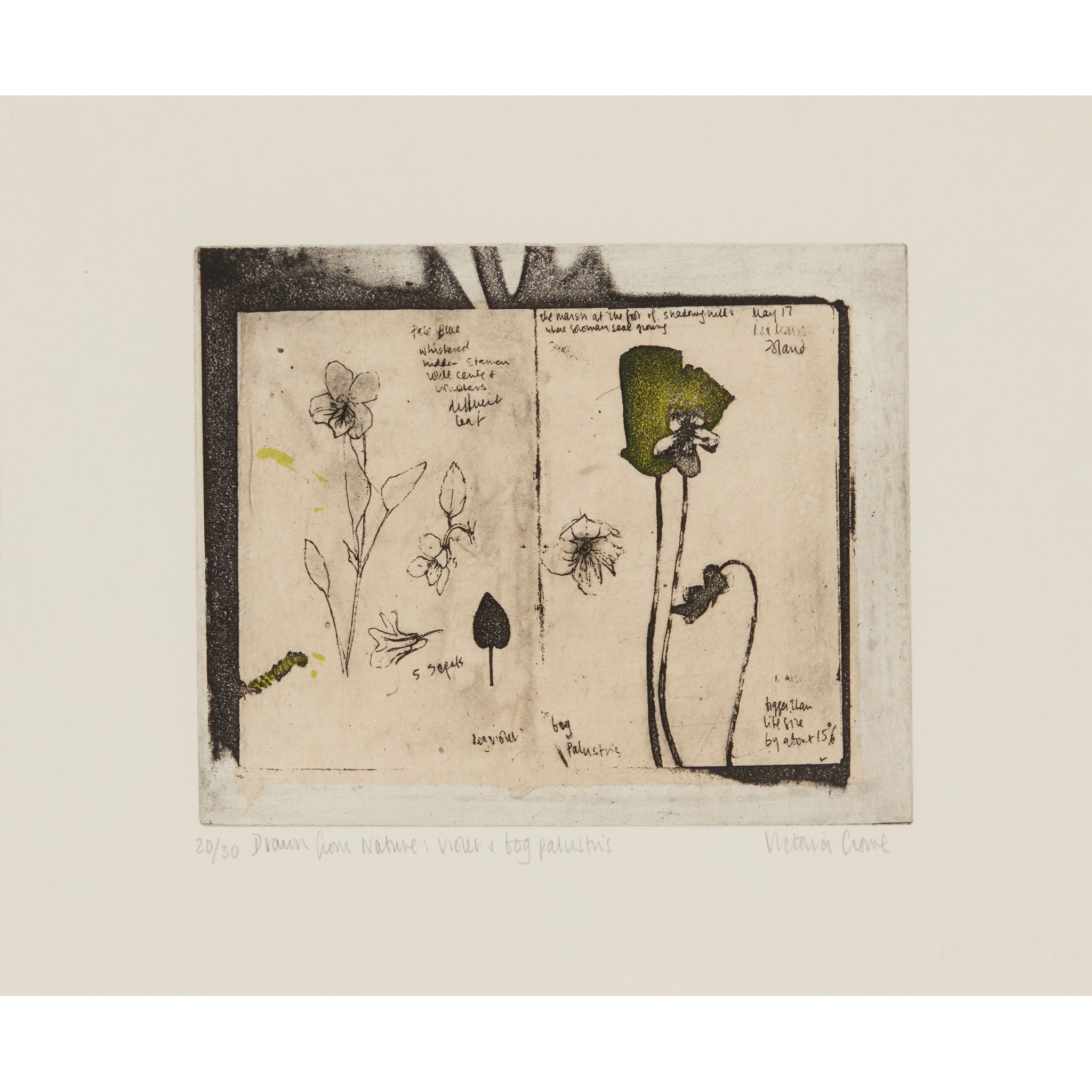 VICTORIA CROWE O.B.E., F.R.S.E., R.S.A. (SCOTTISH 1945-)