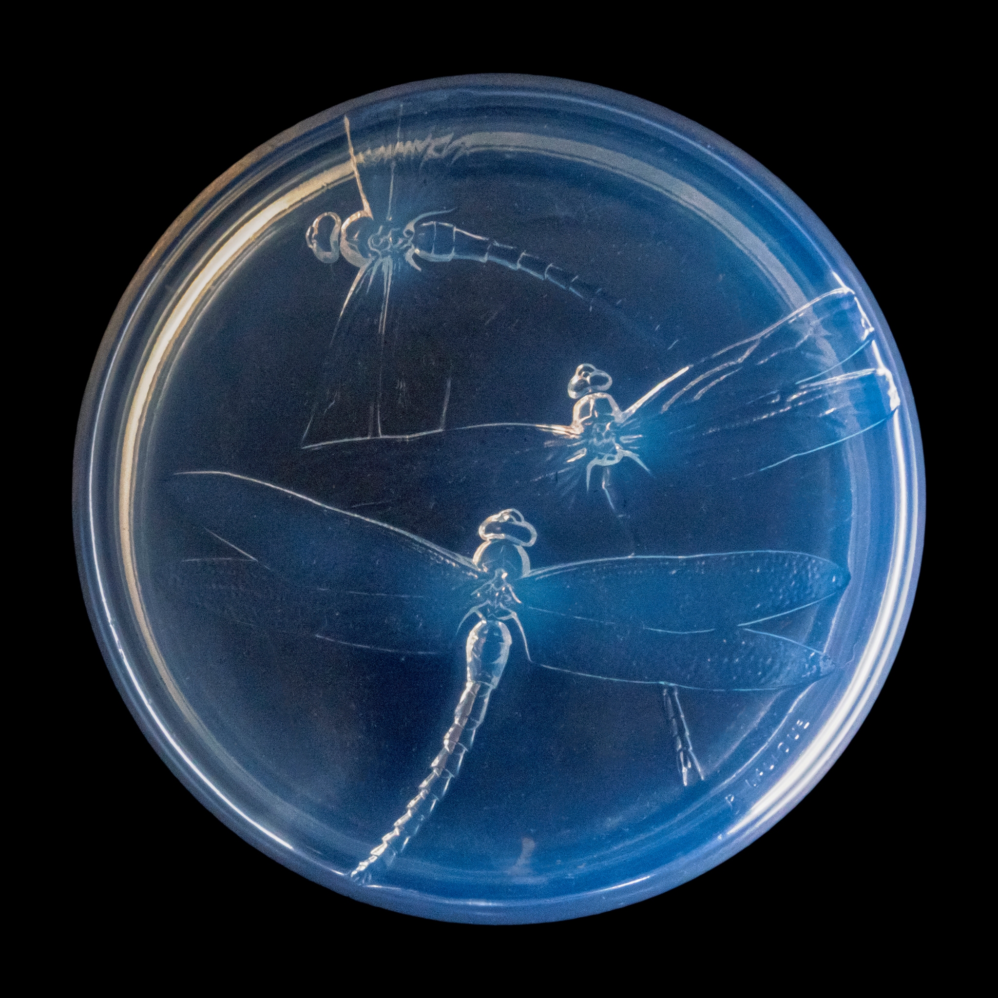 RENÉ LALIQUE (1860-1945)