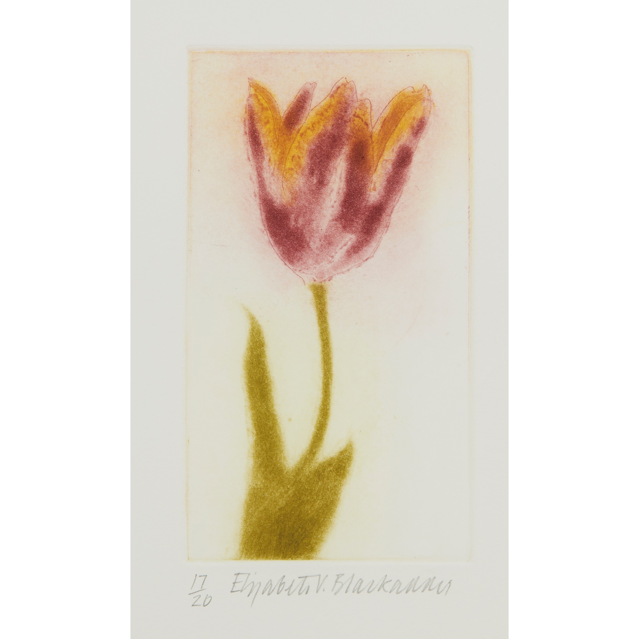 ELIZABETH BLACKADDER O.B.E., R.A., R.S.A., R.S.W., R.G.I., D.Litt (SCOTTISH 1931-)