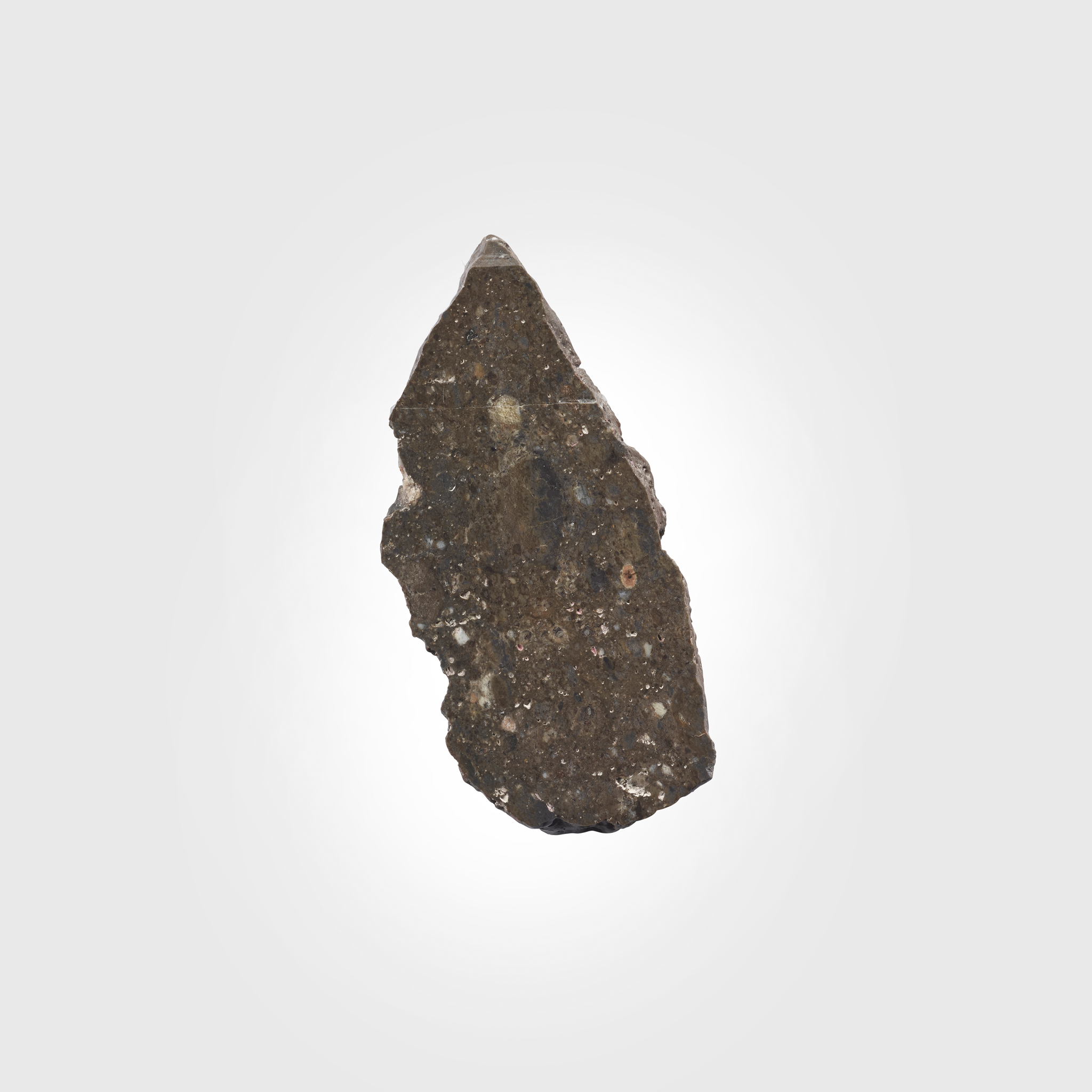 EL MILHAS 002, LUNAR METEORITE CROSS SECTION