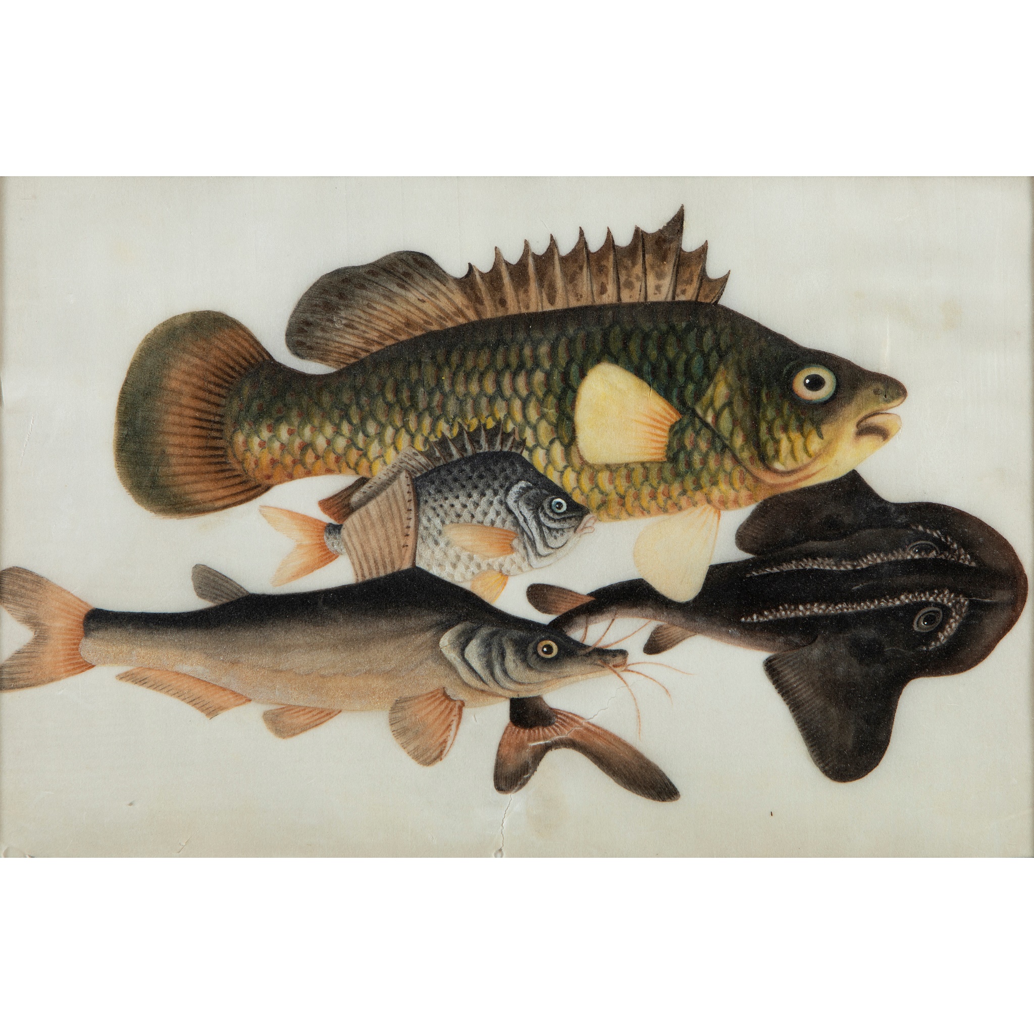 GROUP OF THREE PITH PAINTINGS OF FISHES