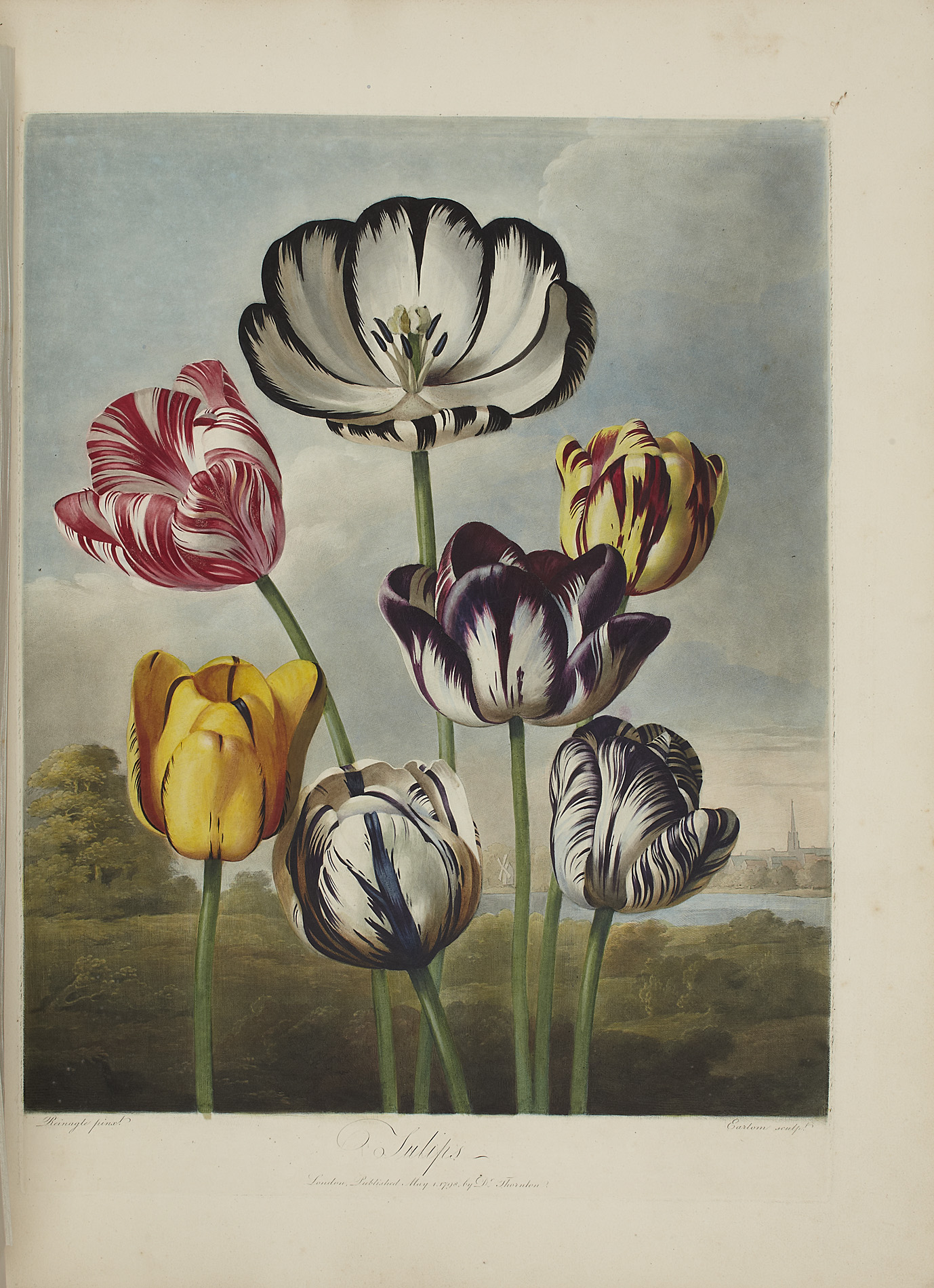 Thornton, Robert John