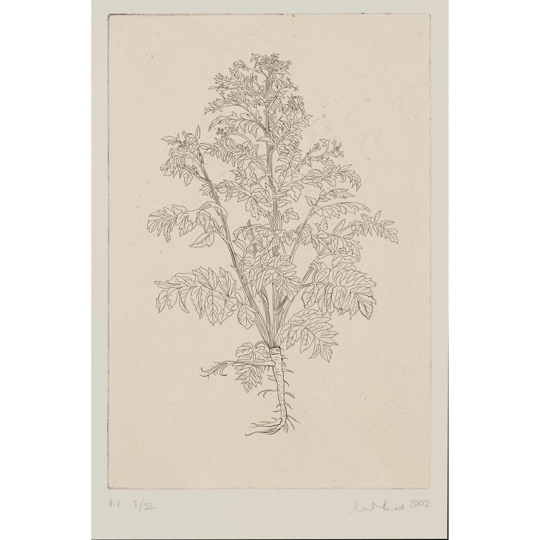 CHRISTINE BORLAND (SCOTTISH B.1965)