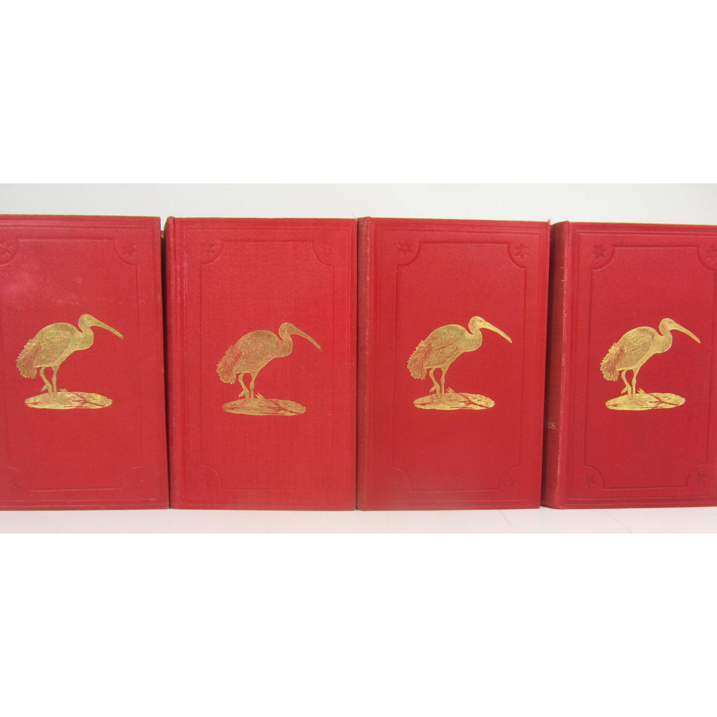 The Ibis, a Quartelry Journal of Ornithology,