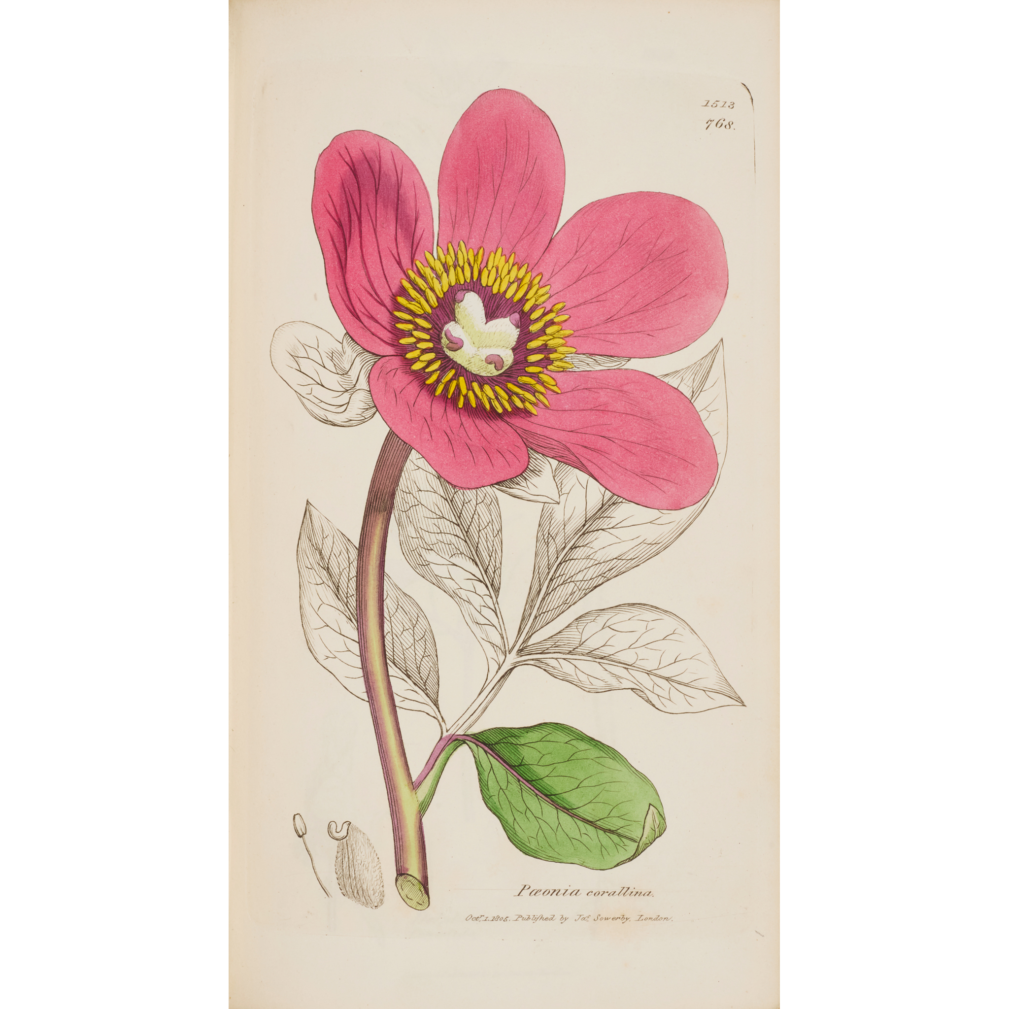 Smith, Sir James Edward - James Sowerby