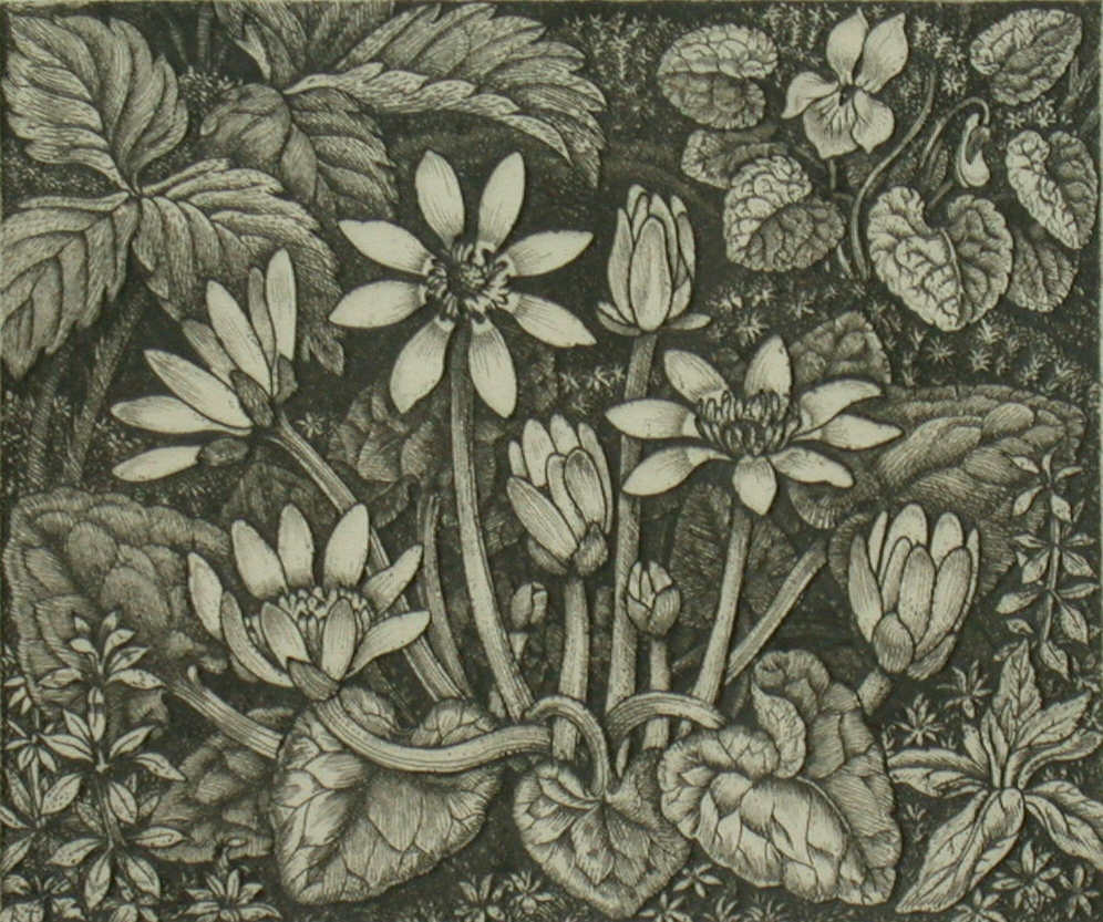 ROBIN TANNER (ENGLISH, 1904-1988)