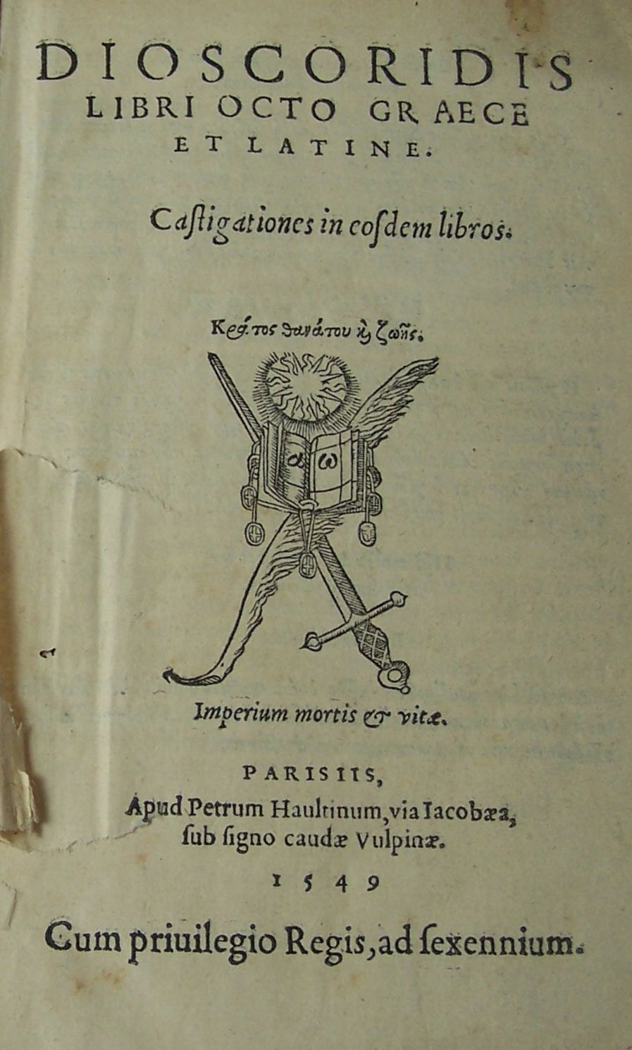 Dioscorides, Pedanius