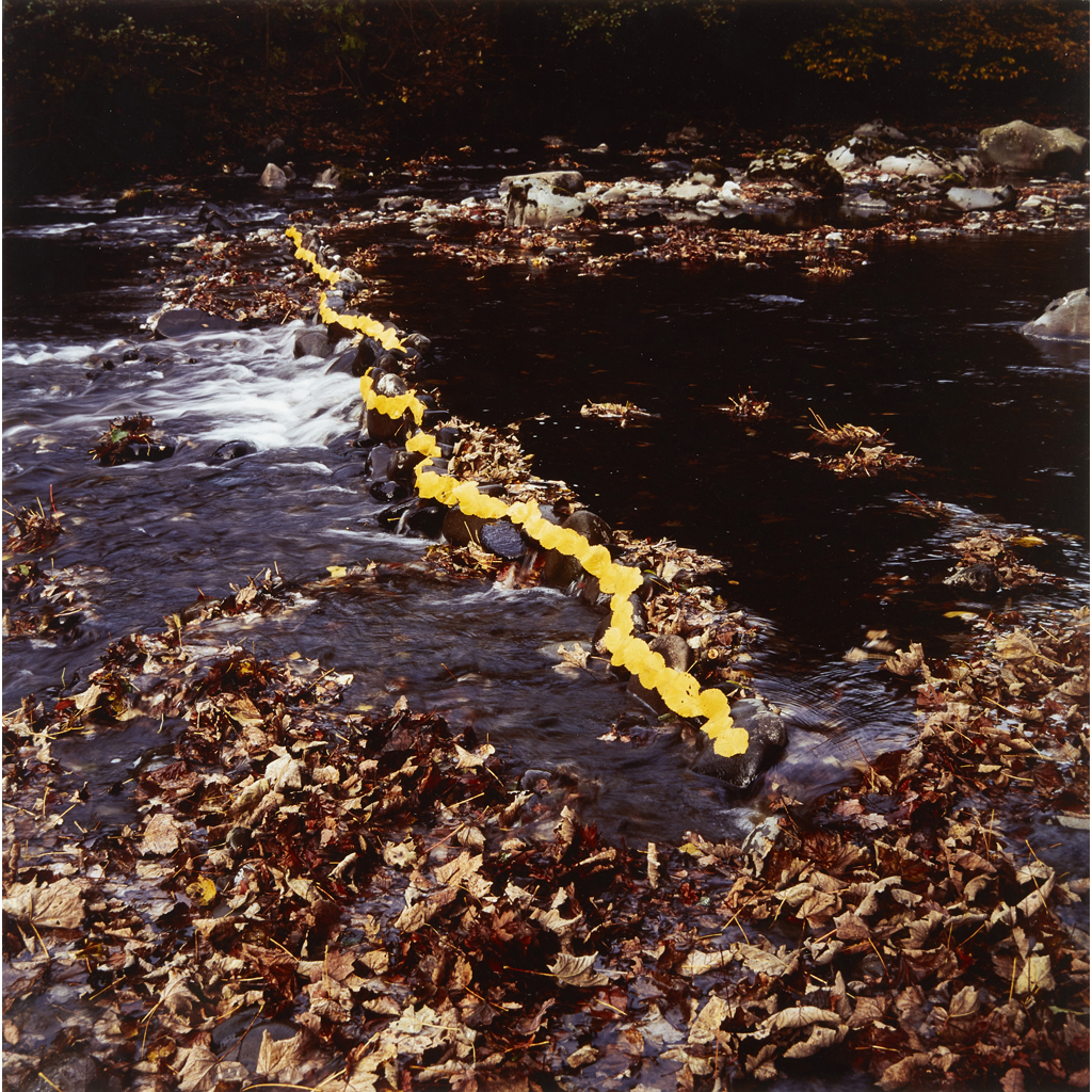 ANDY GOLDSWORTHY (BRITISH B.1956)