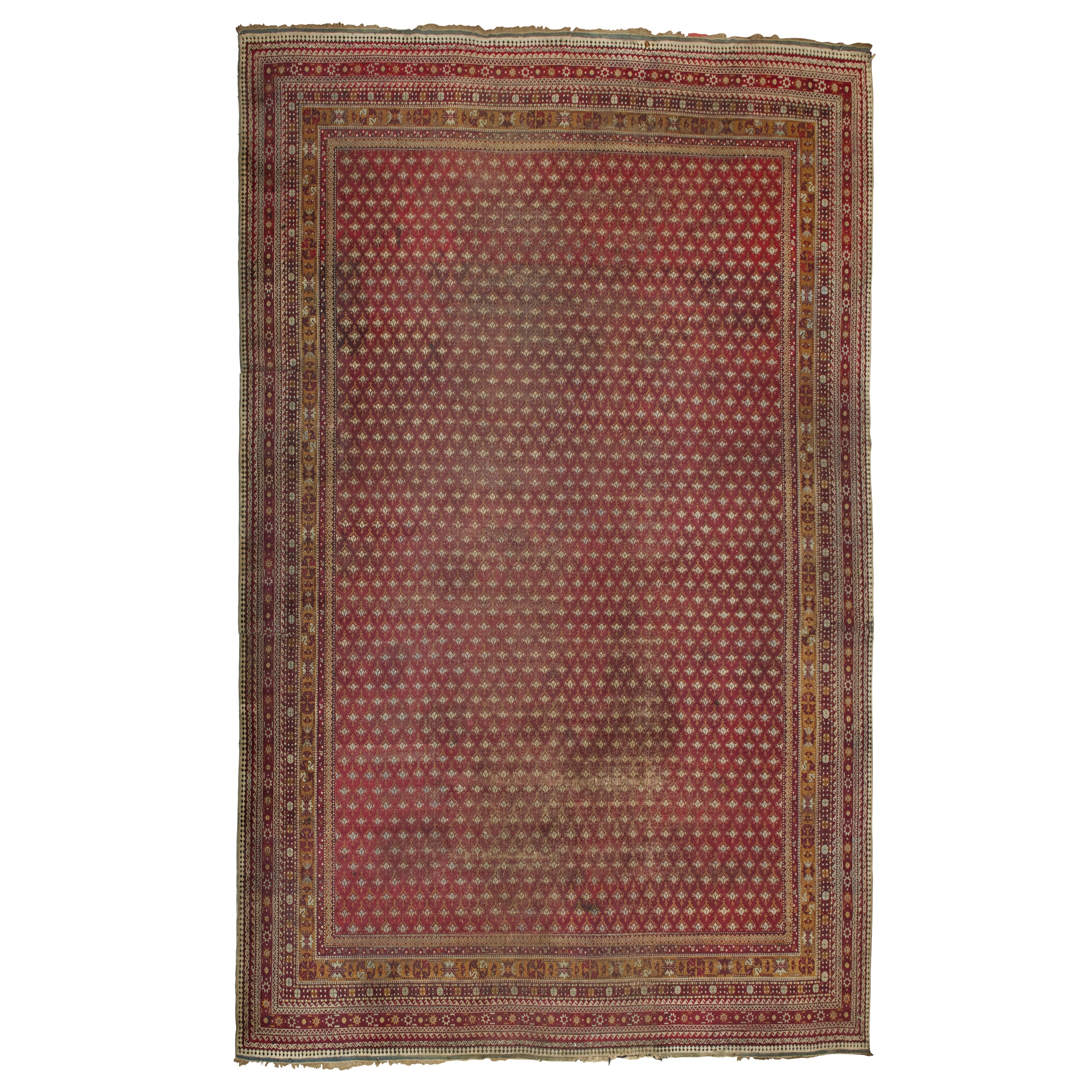 AGRA CARPET