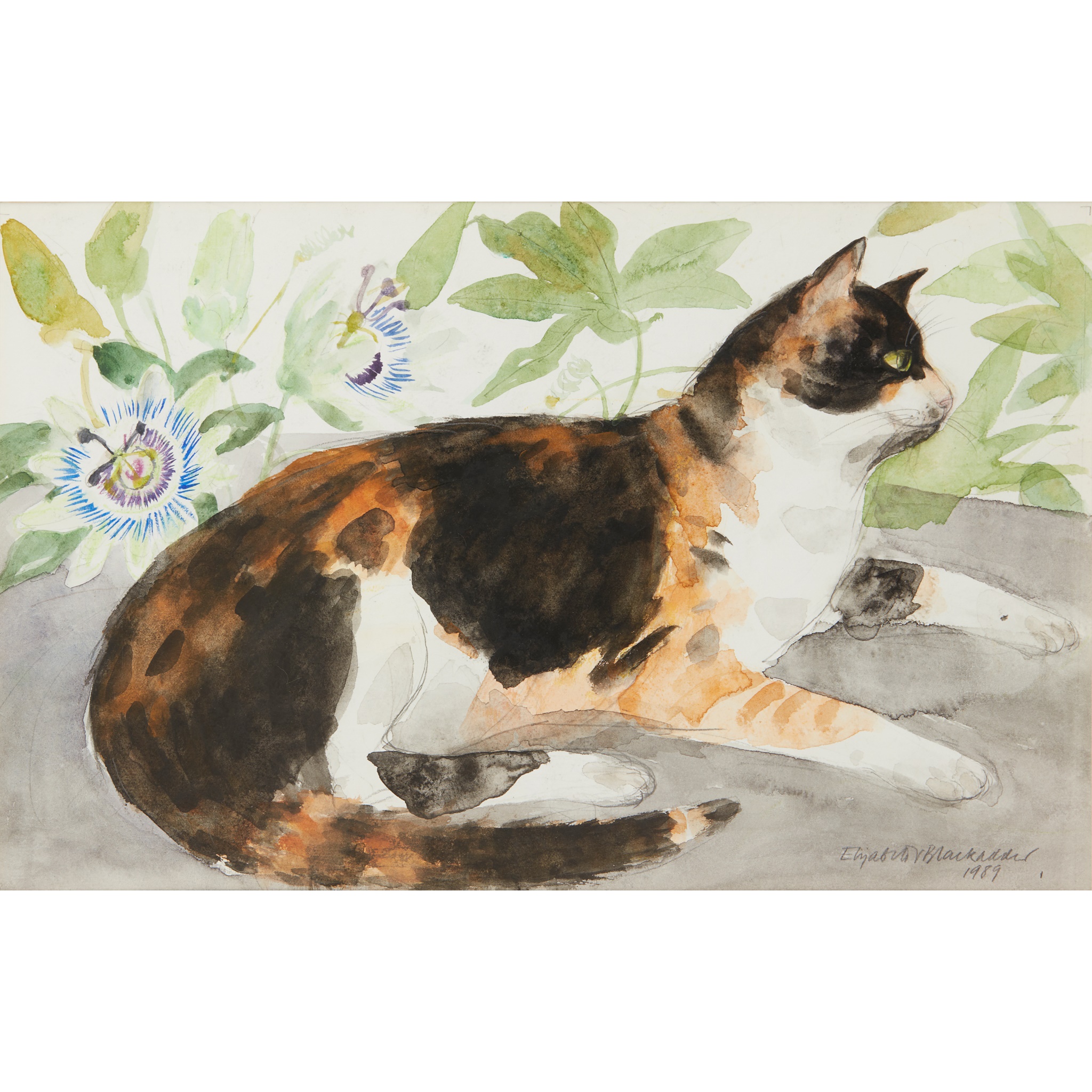 DAME ELIZABETH BLACKADDER O.B.E., R.A., R.S.A., R.S.W., R.G.I., D.Litt (SCOTTISH 1931-2021)